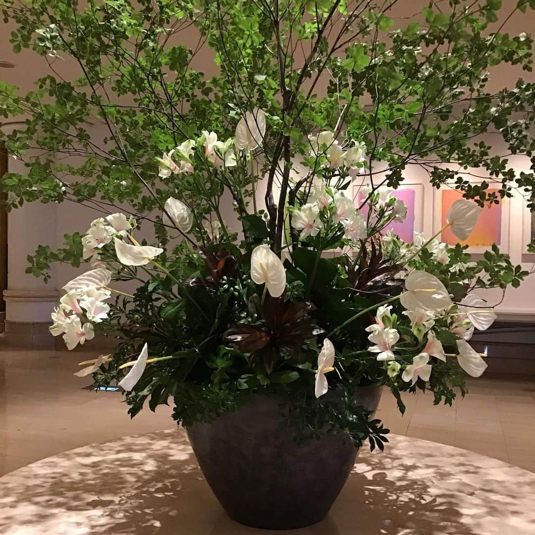 のインスタグラム：「７月になり、暑さも増してきましたが、みなさまいかがお過ごしでしょうか？🎋 ロビーでは夏らしい生け花がご来館いただいた方々を楽しませてくれています。 🏝アーバンリゾート🏝を是非お楽しみくださいませ。 みなさまのご来館をお待ちしております。  #ヨコハマグランドインターコンチネンタルホテル #みなとみらいホテル #生花 #intercontinentalyokohamagrand  #intercontinentalhotelyokohamagrand  #みなとみらい  #みなとみらい散歩  #アーバンリゾート」