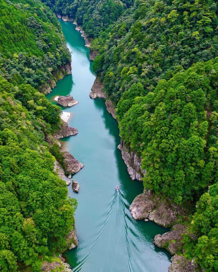 のインスタグラム：「. 奈良県・三重県・和歌山県にまたがる峡谷、瀞峡🌲約40分の川舟ライドで、雄大な自然を間近に楽しむことができます！  📷：@banco0416 📍：熊野エリア 新宮市  和歌山の写真に #nagomi_wakayama のハッシュタグをつけて投稿いただくと、その中から素敵な写真をリポストします😉 . . . #和歌山 #和歌山観光 #和歌山旅行 #わかやま #和みわかやま #wakayama #wakayamajapan #wakayamatrip #wakayamatravel #nagomi_wakayama #wakayamagram #瀞峡 #瀞八丁 #川舟 #川舟下り #クルーズ #dorokyo #gorge #shingu #riverboat #旅行 #国内旅行 #旅行好きな人と繋がりたい #観光 #travel #trip #travelgram #japan #travelphotography」
