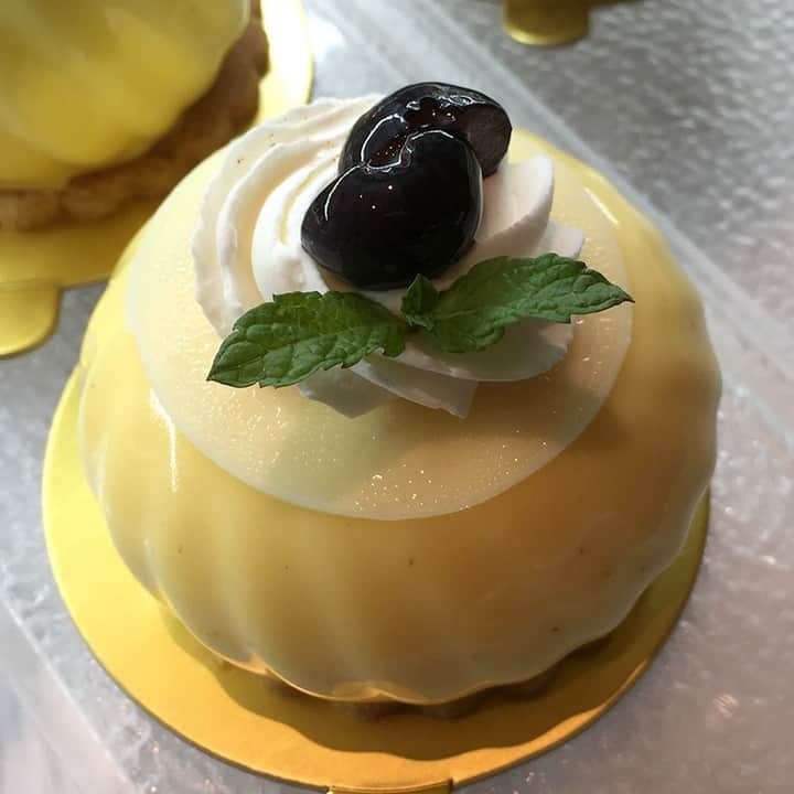 ホテルオークラ福岡さんのインスタグラム写真 - (ホテルオークラ福岡Instagram)「7月1日よりペストリーブティックで新しいスイーツ 「Himuka（ヒムカ）」 を販売開始いたしました。  日向夏の酸味とホワイトチョコレートのまろやかな甘さ、そして軽いくちどけのムース、その絶妙なバランスをぜひお楽しみください。  夏のお土産にも喜ばれそうな一品です。  ◆ペストリーブティック（ホテルオークラ福岡1階） TEL.092-262-3585 営業時間：9:00-20:00  #hotelokurafukuoka #hotelokura #ホテルオークラ福岡 #ホテルオークラ #ペストリーブティック #ペストリー #ヒムカ #日向夏  #日向夏のムース  #ホワイトチョコレートのムース #ホワイトチョコレート  #ブルーベリー #ホテルのケーキ」7月3日 13時23分 - hotelokura_fukuoka