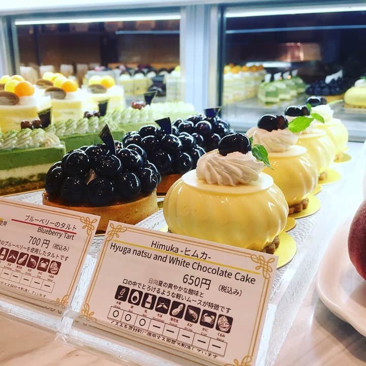 ホテルオークラ福岡さんのインスタグラム写真 - (ホテルオークラ福岡Instagram)「7月1日よりペストリーブティックで新しいスイーツ 「Himuka（ヒムカ）」 を販売開始いたしました。  日向夏の酸味とホワイトチョコレートのまろやかな甘さ、そして軽いくちどけのムース、その絶妙なバランスをぜひお楽しみください。  夏のお土産にも喜ばれそうな一品です。  ◆ペストリーブティック（ホテルオークラ福岡1階） TEL.092-262-3585 営業時間：9:00-20:00  #hotelokurafukuoka #hotelokura #ホテルオークラ福岡 #ホテルオークラ #ペストリーブティック #ペストリー #ヒムカ #日向夏  #日向夏のムース  #ホワイトチョコレートのムース #ホワイトチョコレート  #ブルーベリー #ホテルのケーキ」7月3日 13時23分 - hotelokura_fukuoka