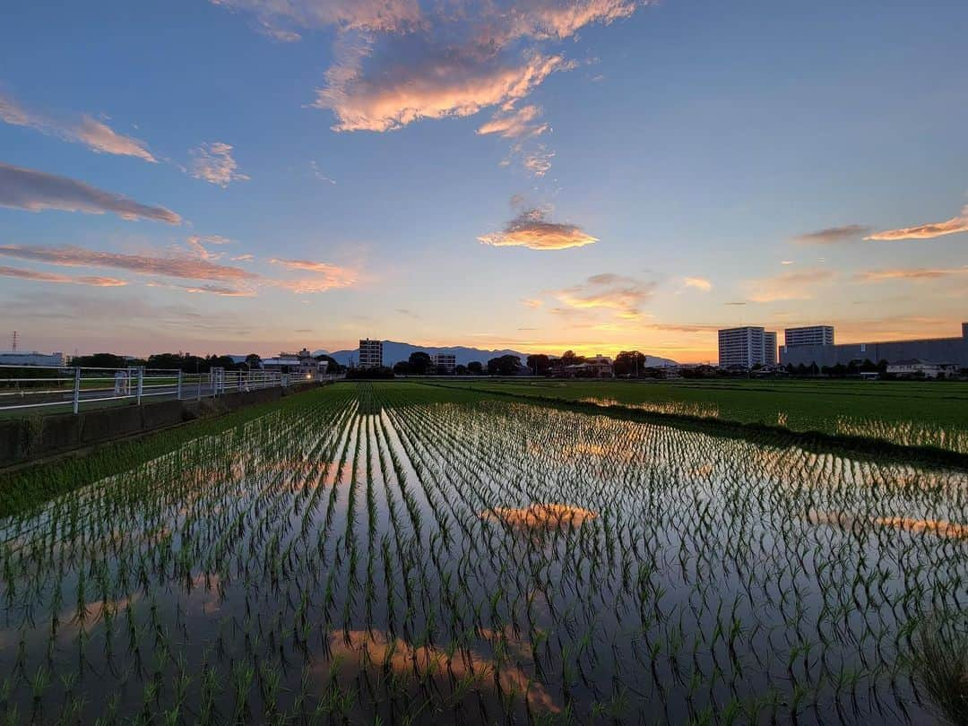 海老名市さんのインスタグラム写真 - (海老名市Instagram)「空が田んぼに映り込む反転した世界。 この季節にしか見ることができない美しい風景ですね。  「#好きです海老名」に応募があった作品  タイトル：夕焼けと田んぼのハーモニー 場所：海老名市三日月地花壇の駐車場前の田んぼ コメント：海老名の景色に感動し、共有させて頂きます。  📷 #好きです海老名 写真募集に、ぜひご応募ください！ 詳しくは、@ebina_officialのプロフィールより、公式サイトをご覧ください。 ご応募、お待ちしています！  #好きです海老名 #住みたい住み続けたいまち海老名 #海老名 #神奈川 #ebina #写真募集 #写真 #募集 #田んぼ #リフレクション #空 #風景」7月3日 13時18分 - ebina_official