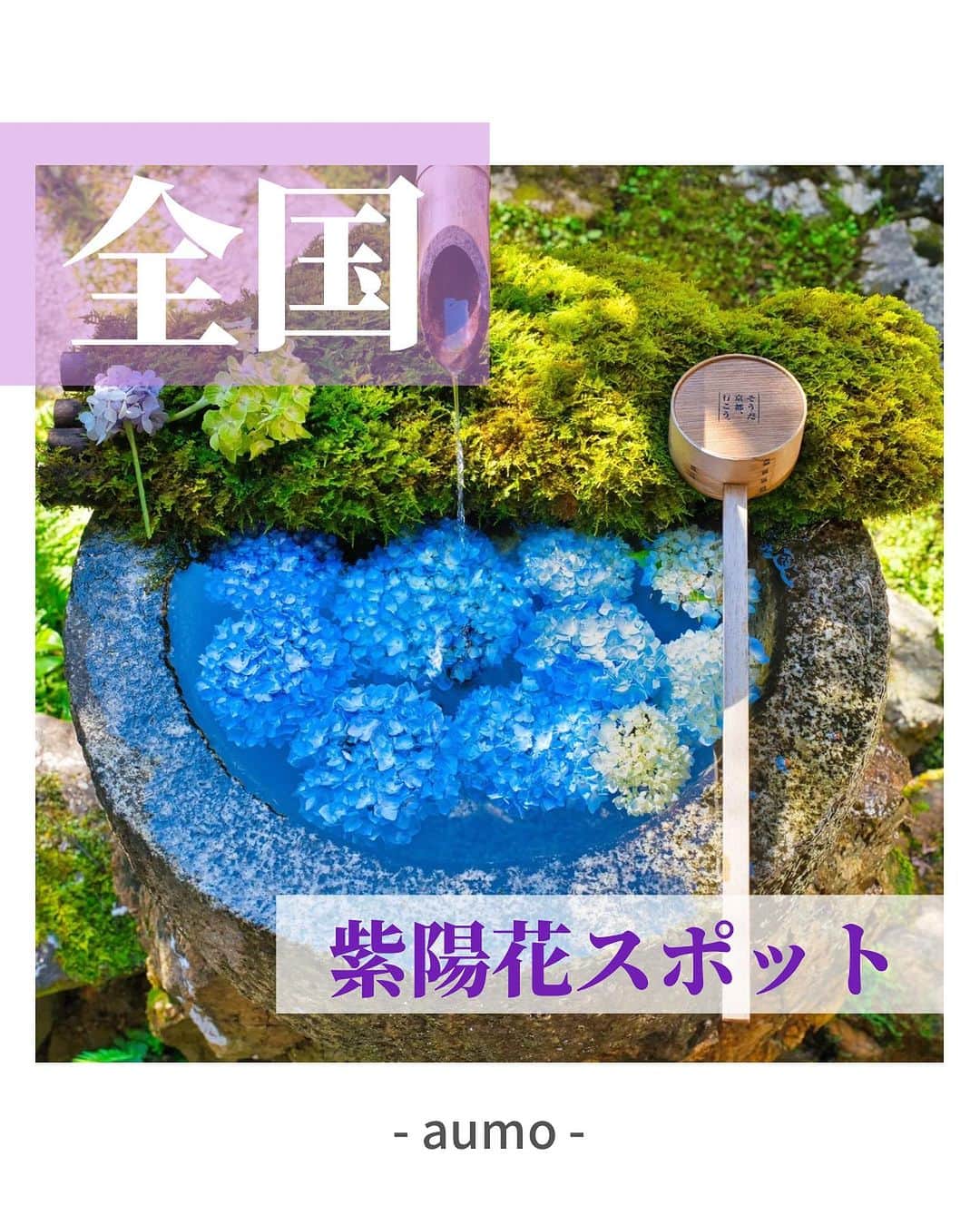 aumoのインスタグラム