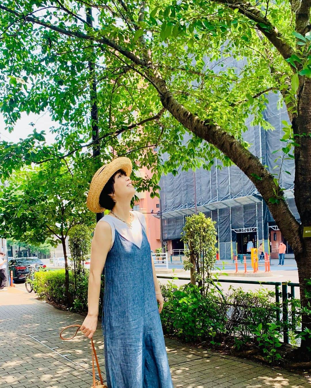 いかりさとみさんのインスタグラム写真 - (いかりさとみInstagram)「週のはじまりは事務所へ。事務所そばの桜並木の下、木漏れ日が気持ちいいです #夏」7月3日 14時47分 - satomi_ikari