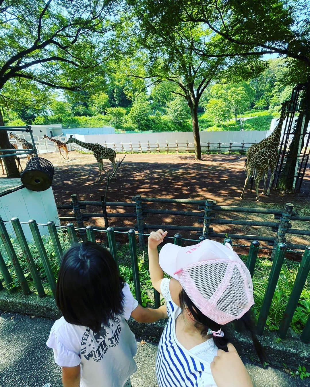 横山愛子さんのインスタグラム写真 - (横山愛子Instagram)「風邪ひいて幼稚園を休んでいた影響で…。。 また次女が泣いて行くようになり😂 その時に先生が絵本やシールを使って、沢山遊んで下さるうちに！ 『キリンが🦒好きなの』と次女が教えてくれたので^ - ^ 本物見に行こう❣️と炎天下の中動物園へ🐘🦁 初めて二人乗りベビーカー持って行かずに挑戦❗️✌️ シャトルバスをうまく使って沢山歩いてもらいました！抱っこもおんぶもしたけど…なんとかなった笑  子供達が見たい動物を全て見ることができて☆🐦‍⬛と戯れるキリン🦒には大興奮（＾ν＾）15分くらい見てたかな🤣 行くたびに身長測ってるから、成長がよくわかる👍 ゾウ🐘も今回は大人しくて目の前で水飲んでる姿が見られたり！ 初めてオランウータンのスカイウォークも見られて！大満足😋 本当に広いから全身筋肉痛……。  今日は温泉♨️に行って、心身共に癒されました( ^ω^ ) 明日からも頑張ろ！！！ #2歳差育児 #年子 #プレママ #ホリプロ #横山愛子 #動物園 #こどものいる暮らし  #キリン #オランウータン #スカイウォーク」7月3日 15時21分 - aiaiko8