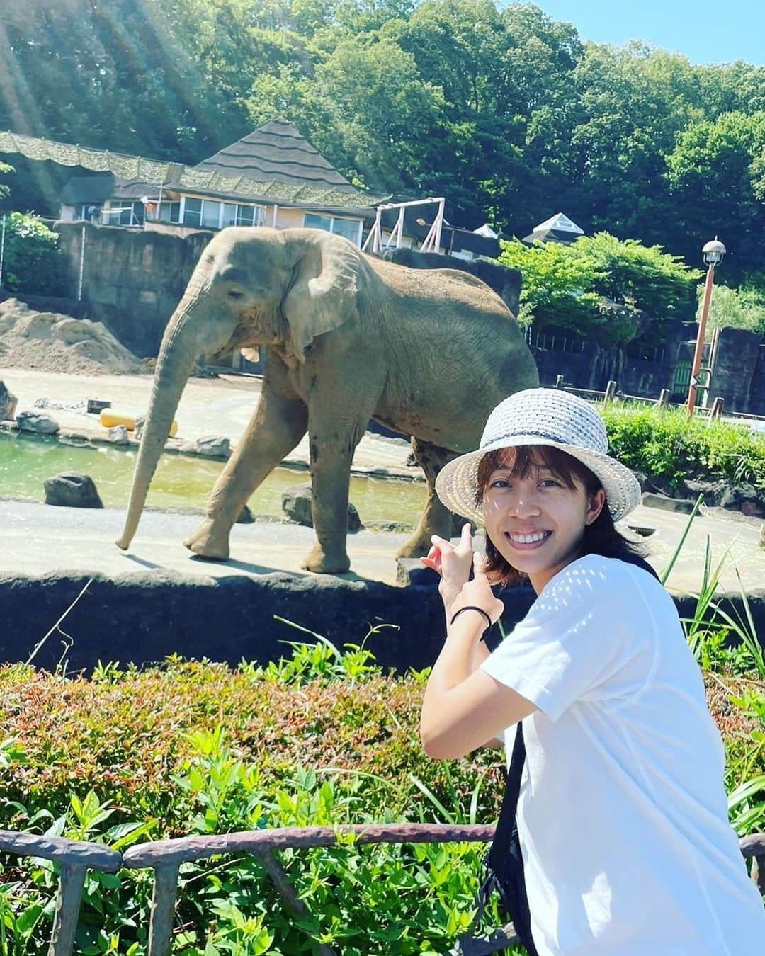 横山愛子さんのインスタグラム写真 - (横山愛子Instagram)「風邪ひいて幼稚園を休んでいた影響で…。。 また次女が泣いて行くようになり😂 その時に先生が絵本やシールを使って、沢山遊んで下さるうちに！ 『キリンが🦒好きなの』と次女が教えてくれたので^ - ^ 本物見に行こう❣️と炎天下の中動物園へ🐘🦁 初めて二人乗りベビーカー持って行かずに挑戦❗️✌️ シャトルバスをうまく使って沢山歩いてもらいました！抱っこもおんぶもしたけど…なんとかなった笑  子供達が見たい動物を全て見ることができて☆🐦‍⬛と戯れるキリン🦒には大興奮（＾ν＾）15分くらい見てたかな🤣 行くたびに身長測ってるから、成長がよくわかる👍 ゾウ🐘も今回は大人しくて目の前で水飲んでる姿が見られたり！ 初めてオランウータンのスカイウォークも見られて！大満足😋 本当に広いから全身筋肉痛……。  今日は温泉♨️に行って、心身共に癒されました( ^ω^ ) 明日からも頑張ろ！！！ #2歳差育児 #年子 #プレママ #ホリプロ #横山愛子 #動物園 #こどものいる暮らし  #キリン #オランウータン #スカイウォーク」7月3日 15時21分 - aiaiko8