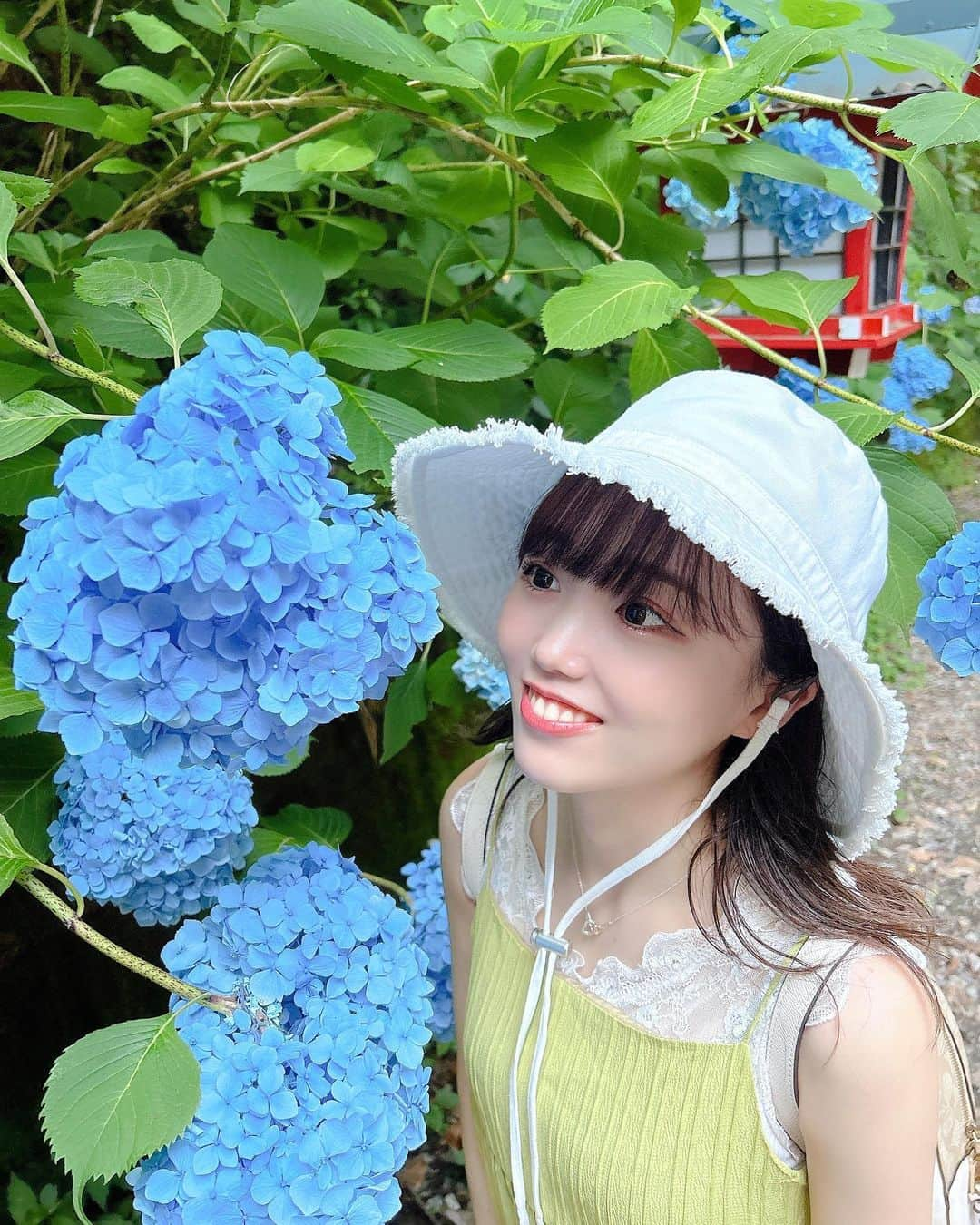 小日向夏実のインスタグラム：「🏵️🌧️  自然に触れた日〜！すっきりした☺️  #紫陽花 #山登り #高尾山 #バケハ #低身長コーデ #japan #japanesegirl #followｍe #いいね」