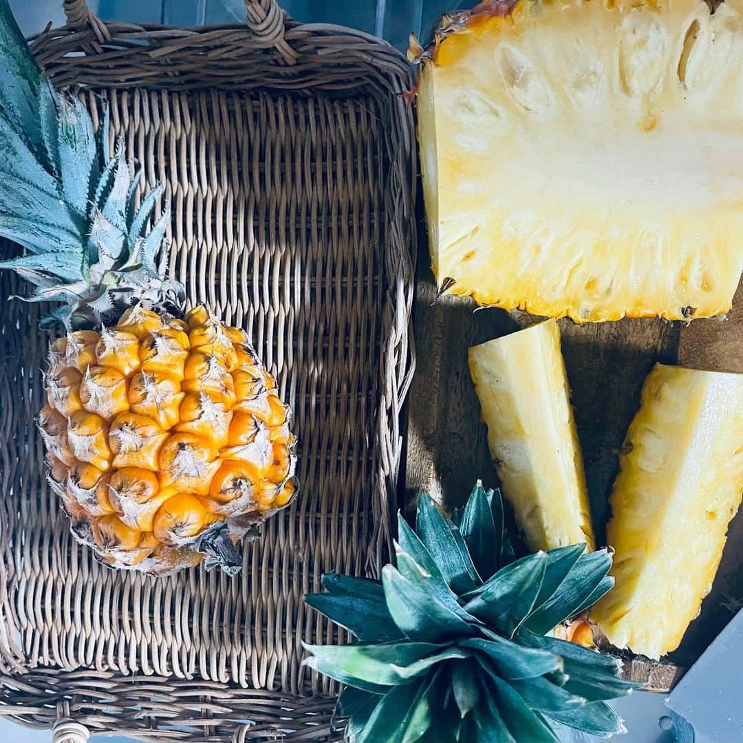 のインスタグラム：「本部町に行ったついでに、県産パインを🍍 この季節は食べたくなりますよね✨ ゴールドバレル（¥800）とポコットパイン（¥200）！やすい！！ とっても甘くておいしいです✨ 酵素たっぷりなパイナップル、沖縄に生まれてよかったって思います🍍 @okisuki.com_120」