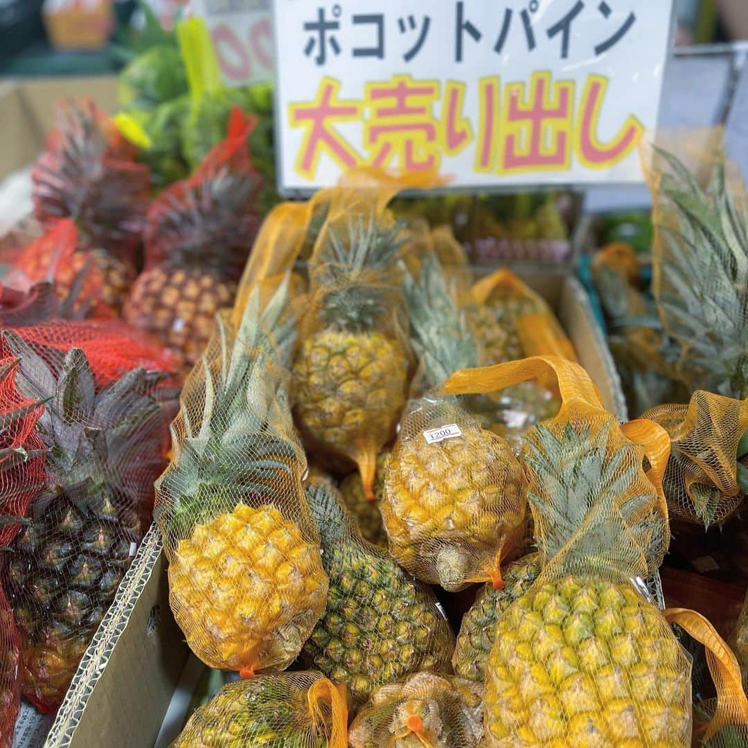 川満アンリさんのインスタグラム写真 - (川満アンリInstagram)「本部町に行ったついでに、県産パインを🍍 この季節は食べたくなりますよね✨ ゴールドバレル（¥800）とポコットパイン（¥200）！やすい！！ とっても甘くておいしいです✨ 酵素たっぷりなパイナップル、沖縄に生まれてよかったって思います🍍 @okisuki.com_120」7月3日 20時55分 - anly_lalala