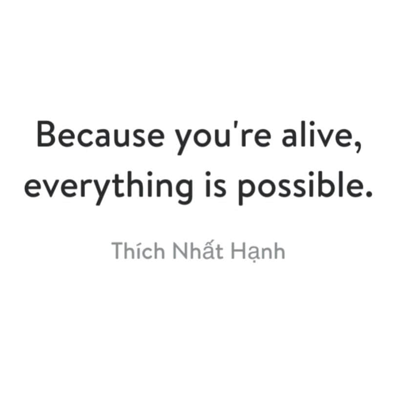 ジェシカ・アルバさんのインスタグラム写真 - (ジェシカ・アルバInstagram)「“Because You’re Alive, Everything Is Possible” 🙏🏽🫶🏽💯 #thichnhathanh  Imagine a world where enough of us move in the same direction to create the world we would proudly hand over to future generations. 💫✨🌎」7月3日 15時26分 - jessicaalba