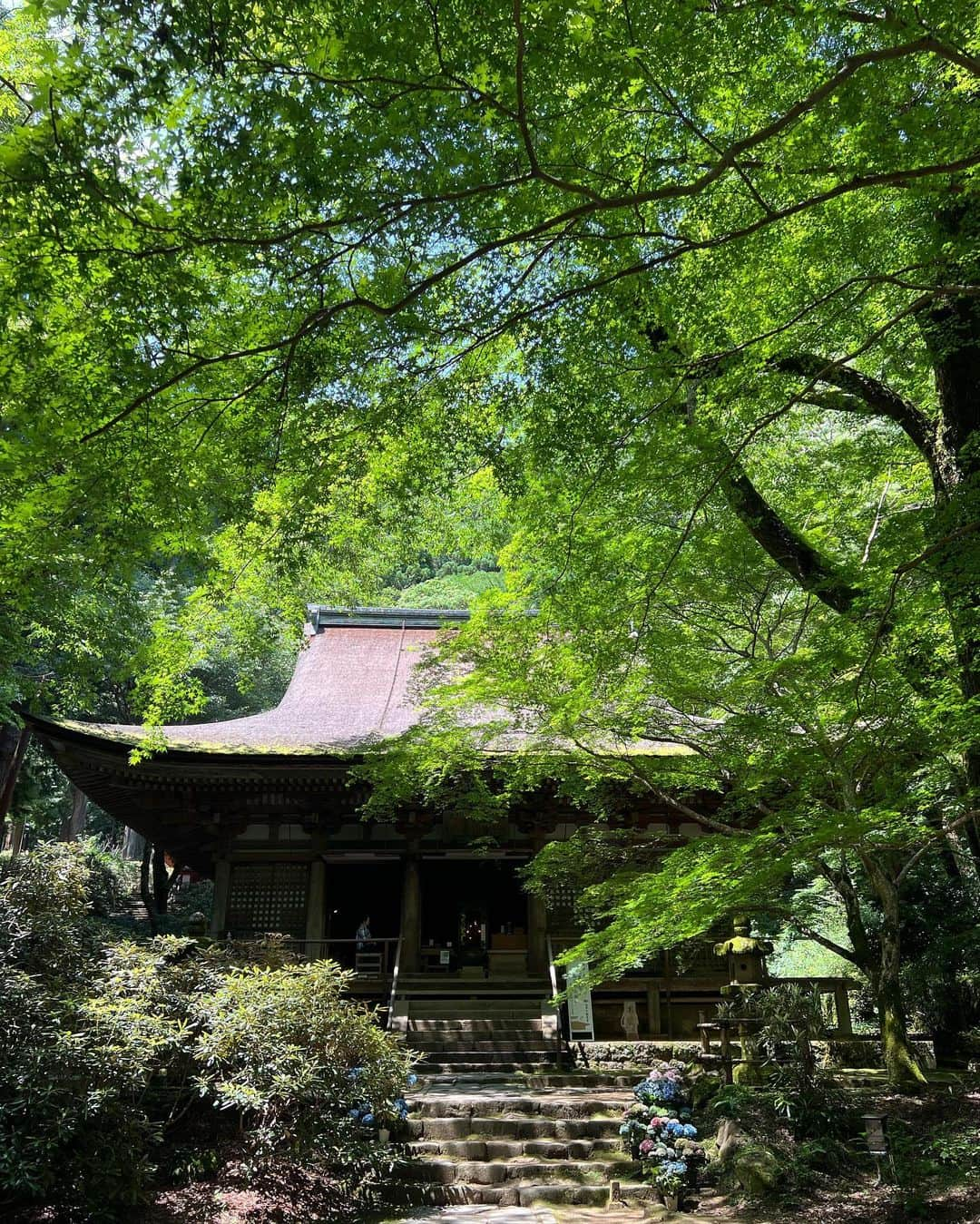 薮下柊さんのインスタグラム写真 - (薮下柊Instagram)「長谷寺と室生寺に行きました☀️  風鈴って風情があっていいですね🎐 可愛い😋  今年初、冷やしそうめんデビューもして、御朱印も頂いて大満足🌱 わらしべ長者の記念御朱印がめっちゃ可愛かった！  長谷寺では、重要文化財である御本尊大観音様の特別拝観が催されてたので、御足に触れちゃいました😊(写真は撮れないので、目に焼き付けてきました)  観音様との縁結びで5色の結縁を係の方に結んでいただいたんですけど、とっても神秘的で嬉しい✨  女人高野の室生寺も初めて行きましたが、日本最小の五重塔や、長ーい石段を登り切った先にある「奥之院」が美しくてお気に入りスポットになりました🎈  美しい場所に訪ねて、良い休日でした🧚🏻‍♀️🌿  秋の時期にも是非また行きたい😊  #長谷寺 #室生寺  #奈良」7月3日 15時32分 - __yabushita_shu__