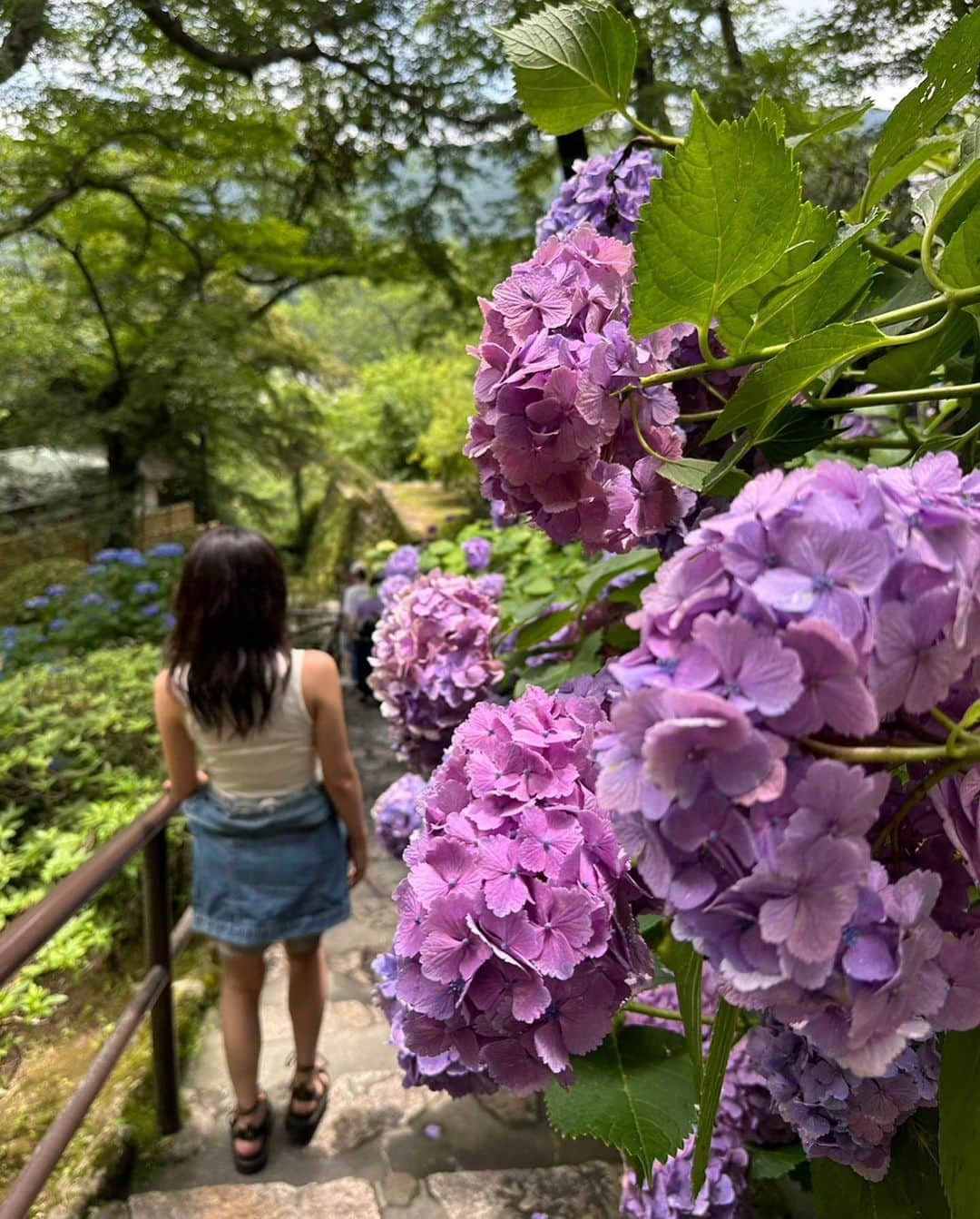 薮下柊さんのインスタグラム写真 - (薮下柊Instagram)「長谷寺と室生寺に行きました☀️  風鈴って風情があっていいですね🎐 可愛い😋  今年初、冷やしそうめんデビューもして、御朱印も頂いて大満足🌱 わらしべ長者の記念御朱印がめっちゃ可愛かった！  長谷寺では、重要文化財である御本尊大観音様の特別拝観が催されてたので、御足に触れちゃいました😊(写真は撮れないので、目に焼き付けてきました)  観音様との縁結びで5色の結縁を係の方に結んでいただいたんですけど、とっても神秘的で嬉しい✨  女人高野の室生寺も初めて行きましたが、日本最小の五重塔や、長ーい石段を登り切った先にある「奥之院」が美しくてお気に入りスポットになりました🎈  美しい場所に訪ねて、良い休日でした🧚🏻‍♀️🌿  秋の時期にも是非また行きたい😊  #長谷寺 #室生寺  #奈良」7月3日 15時32分 - __yabushita_shu__