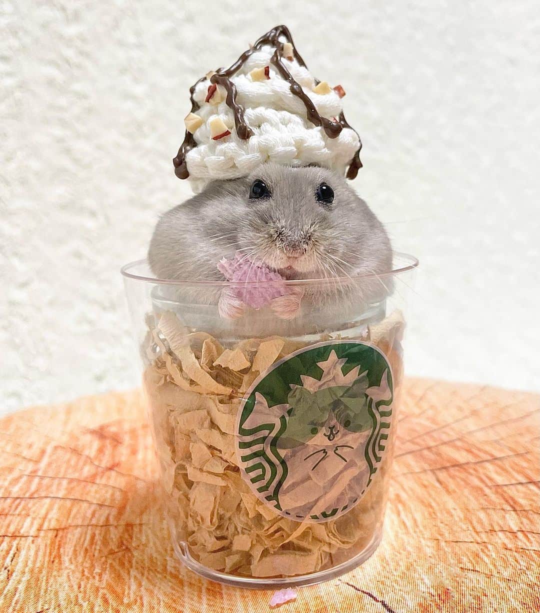 hamster_mocoのインスタグラム