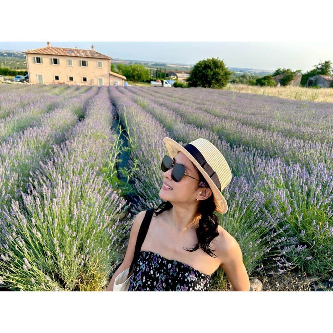 チョ・ヨジョンさんのインスタグラム写真 - (チョ・ヨジョンInstagram)「☀️ #lavender」7月3日 17時56分 - lightyears81