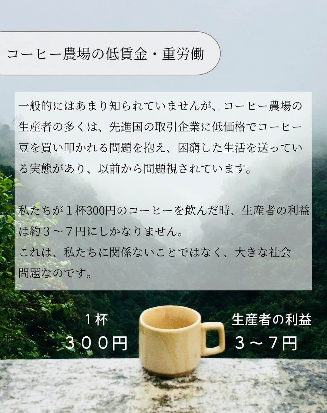 naturacartさんのインスタグラム写真 - (naturacartInstagram)「【コーヒーのブラックな事情を知っていますか？】  日本の約７割の方が毎日飲むと言われているコーヒー。  そんなコーヒーですが、 毎日飲めているのは決して当たり前のことではないのです。  コーヒーの、実はブラックな事情を知って、少しでも今後のライフスタイルに役立つと嬉しいです😌  ナチュラカートで販売されているおすすめオーガニックコーヒーもご紹介しておりますので是非最後までご覧ください☕  #natural #organic #beauty #オーガニックコーヒー #オーガニックカフェ #美容好きな人と繋がりたい #コーヒーのある暮らし #コーヒーの歴史 #コスメマニア #オーガニックライフ #オーガニック好きな人と繋がりたい #スキンケア #サステナブル #sustainable #organic #instagood #oilixia #雑誌風 #雑誌掲載 #オーガニック #サステナコーヒー #サステナブルな暮らし #ナチュラルハウス #おすすめコーヒー #コーヒー粉 #ビーガン #vegan #動物実験なし #コーヒー」7月3日 17時58分 - naturacart