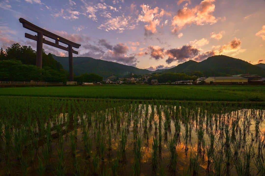 Visit Wakayamaのインスタグラム：「. Like a mirror, the rice fields around Oyunohara reflect a beautiful sunset. 📸 @kazz1109 📍 Oyunohara, Kumano Hongu Taisha Grand Shrine, Wakayama  . . . . . #discoverjapan #unknownjapan #instajapan #landscape #japan #japantrip #japantravel #beautifuldestinations #wakayama #wakayamagram #explore #adventure #visitwakayama #travelsoon #visitjapan #travelgram #stayadventurous #igpassport #explorejapan #lonelyplanet #sustainabletourism #sunset #kumanohongutaisha #traveldeeper #bucketlist #oyunohara #kumano #sunsetlovers #torii #kumanokodo」