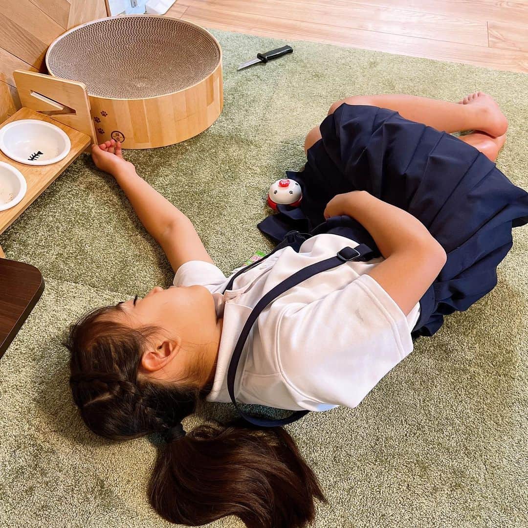 のインスタグラム：「雨の日はねむいよねぇ、、、 あちゃぎんはパポお迎えで無事に帰ってきました☺️」
