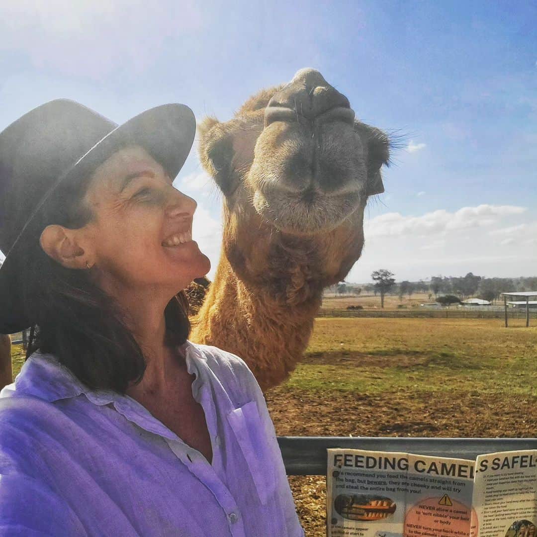 ケイト・キャンベルのインスタグラム：「When every day is Hump Day 🐪 If you're in Brisbane and looking for a fun weekend or school holiday activity, I can not recommend Summer Land Camels highly enough. Turns out camels aren't as cranky as you'd think - but they're just as weird-looking. All of the camels on the farm have been saved from culling in central Australia - plus you'll be helping to support a small local business, so get around it 😎 #notsponsored #supportlocal #sustainablefarming @summerlandcamels」