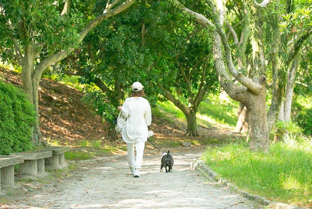 木村まこさんのインスタグラム写真 - (木村まこInstagram)「犬の出張撮影📷 @trip_for_dog  撮影してもらいました𓂃𓈒𓏸  めちゃめちゃ素敵な写真たくさん𖤣𖥧𖥣𖡡𖥧𖤣 毎日散歩するけど、テンちゃんとこんな客観的に撮られることってなかなかない！ って撮られて気づいたー！  毎日の当たり前の瞬間を写真として残しせるって素敵。 犬飼ってる方是非〜♡ お散歩中とか撮影きてくれるよぉ〜🎵  それにしても散歩中ずっと私ニヤニヤしてる🤣🤣🤣  @photoland107 さん ありがとうございました📷  たくさん撮ってもらったからまたupします☺️  #犬撮影 #福岡犬 #福岡犬民  #ペット撮影 #フレブル福岡」7月3日 19時10分 - maco_kimura