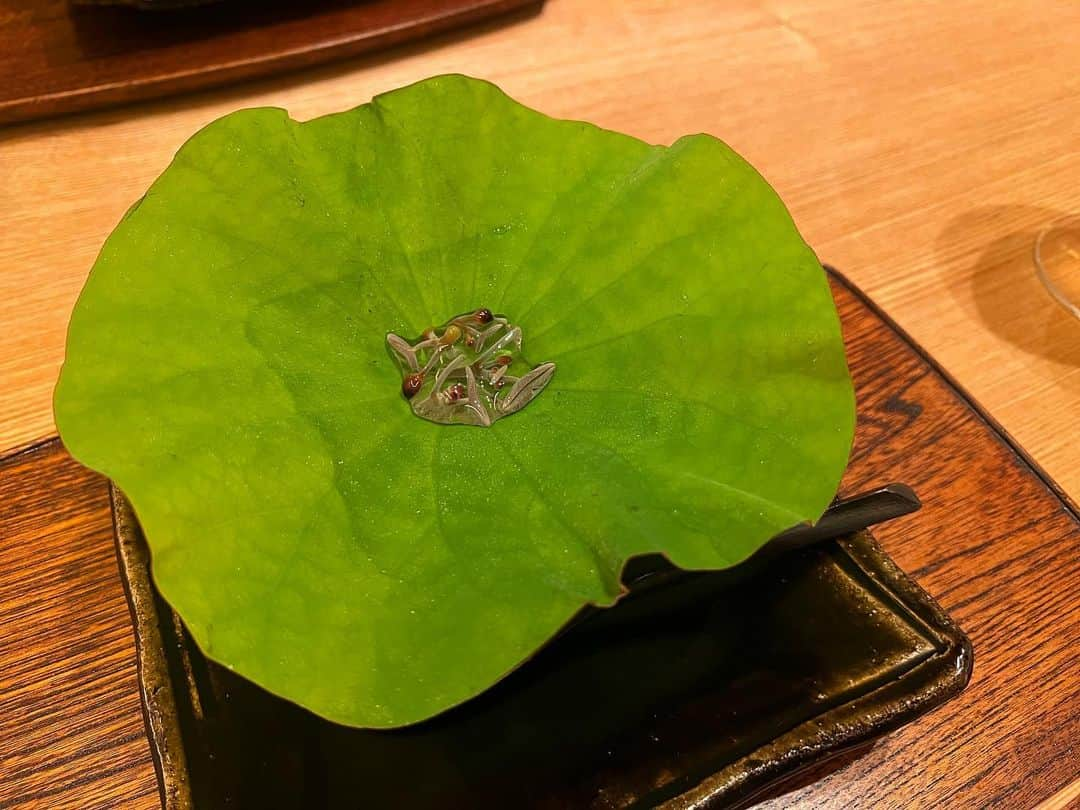 三好ユウさんのインスタグラム写真 - (三好ユウInstagram)「久しぶりの神楽坂「虎白」🍴 Japanese restaurant "KOHAKU" in Kagurazaka. ⁡ 稚鮎がトリュフソースの中にダイブしている 斬新なスタイルで登場🐟夏を感じました。 ⁡ 相変わらず安定の美味しさです☺️ ⁡ メインにお肉がないからさっぱり🐟 締めのご飯は今回もオニギリにして頂きました🍙 ⁡ ⁡ #神楽坂#神楽坂グルメ#ミシュラン三ツ星#予約困難店 #鮎 #旬の食材#懐石 #グルメ好きな人と繋がりたい #タビジョ#東京グルメ #フードアナリスト#ilovejapan#japanesefood##음식사진#東京美食#好吃」7月3日 19時11分 - yuu_5240