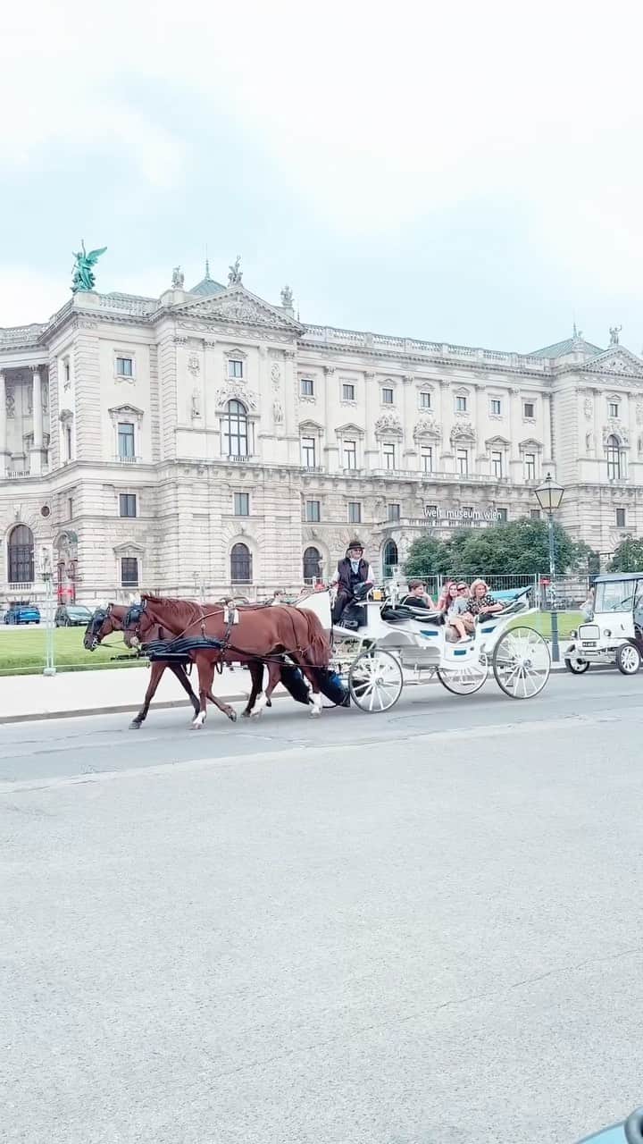 新田朝子のインスタグラム：「City Walk in Vienna🇦🇹  #vienna_city #austria #europe #europetrip #travelphotography   #ウィーン #オーストリア #ヨーロッパ #ヨーロッパ旅行 #海外旅行好きな人と繋がりたい #海外在住 #街歩き」