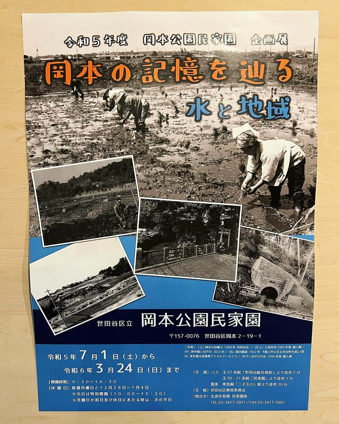 利咲さんのインスタグラム写真 - (利咲Instagram)「世田谷区岡本の『民家園の七夕』へ伺いました🎋 今年からたくさんの場所でお祭りが再開して街に活気が戻ってきたようで喜ばしいです🪅 世田谷区のことをもっと知る為に、出来るだけ参加したいと思ってます。 こういった地元密着のお祭りは小さいけれども地域の方々と触れ合える温かさがあって良いものですね。  こちらの岡本公園民家園は昭和55年12月に開園し、区の有形文化財第一号に指定されています。 「生きている古民家」をテーマに、江戸後期の典型的な農家の家屋を再現しています。  七夕祭りということで笹の葉に願い事を短冊に書いたり、まるでタイムスリップしたような風景に心奪われました。 せたがやそだちのお野菜の販売もあったのでついつい購入してしまいました🍆 なんと全て岡本産のお野菜！ 長ナス、キュウリ、バジル、ピーマン、タマネギ、じゃがいもは2種類（ぽろしりとデストロイヤー）を🧅🥔🫑  また、令和5年度岡本公園民家園 企画展として 『岡本の記憶を辿る 水と地域』も開催されました！ 私もタイミング良く見て解説も聞くことが出来ましたが、 岡本がどういう土地だったかの歴史を資料と共に聞くことが出来るという、貴重な機会でした。 岡本は元々水が豊かな土地で湧き水が綺麗だそうで、水に困ることは無かったけれども、坂が多い地形から移動が大変とのことで昔は岡本にお嫁さんに行く人は困ったそうな…😹 坂の上からの景色はとても綺麗な場所ですけどね🌃 こちらの企画展は令和6年3月24日と長くやられているみたいですのでお近くの方ご興味ある方はぜひ。 入場料も無料です。 世田谷の歴史ももっと学び、知っていきたいです。  #若林りさ #日本維新の会 #世田谷区  #世田谷区議会 #世田谷区議会議員 #新人議員 #せたがやそだち #せたがやそだち野菜 #世田谷区 #世田谷 #世田谷育ち #setagaya #都市農業 #タマネギ #じゃがいも #ぽろしり #デストロイヤー #長なす #バジル #ピーマン #キュウリ #岡本 #世田谷区岡本 #岡本公園民家園 #岡本民家園 #世田谷区岡本民家園 #岡本民家園公園 #岡本公園 #七夕 #七夕祭り #民家園の七夕」7月3日 21時53分 - himeringo908