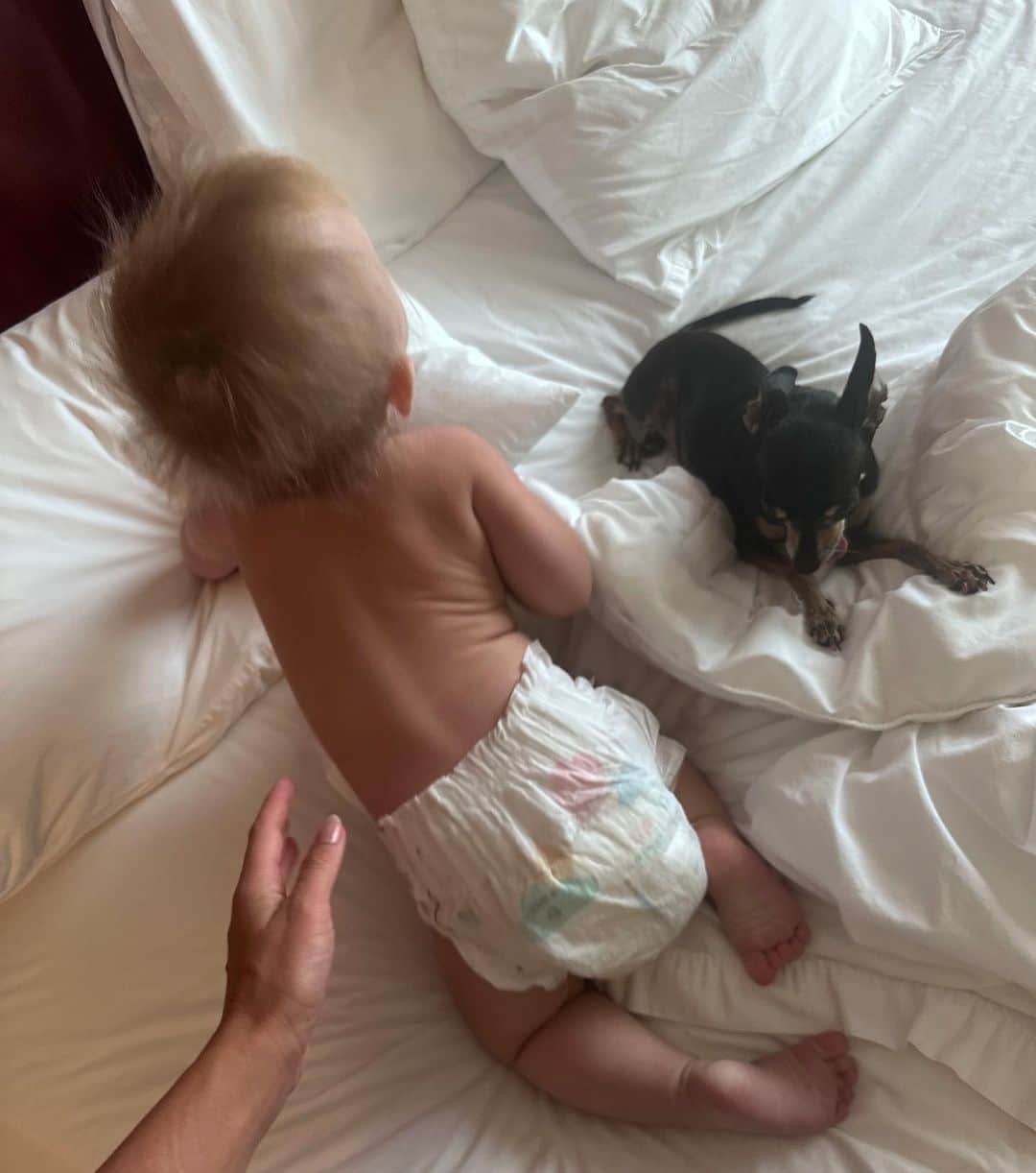 オレーシャ・ルーリンのインスタグラム：「I collect all the little cute things」