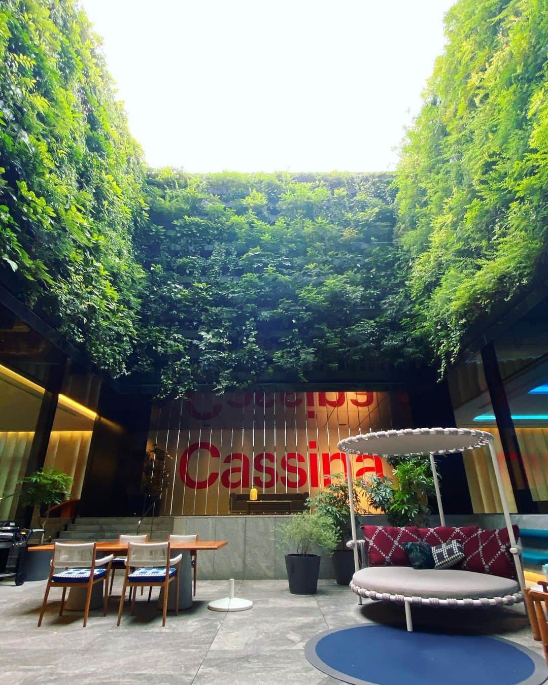 武田訓佳さんのインスタグラム写真 - (武田訓佳Instagram)「🌿🥂🛋️ ・ ・ Cassina Terrace in W Osaka BBQ Beer Garden 🍃 にご招待いただきました🤍 ・ ・ ビアガーデンわーい♡と思って行ったら どっひゃーでした(語彙力) ・ 心の中で数万回「バブリー❣️」と叫んだ夜🥹 何回かは声に出てたはず🙊 ・ ・ 非日常。 目がずっと幸福で、おいしくて、満たされた🤤 ラグジュアリーな夜でした🥂💕 ・ 次は泊まりに行きたい…🩵 ・ ・ ・ #wosaka #whotels  #cassina #cassinaixc」7月3日 22時33分 - kunika0117