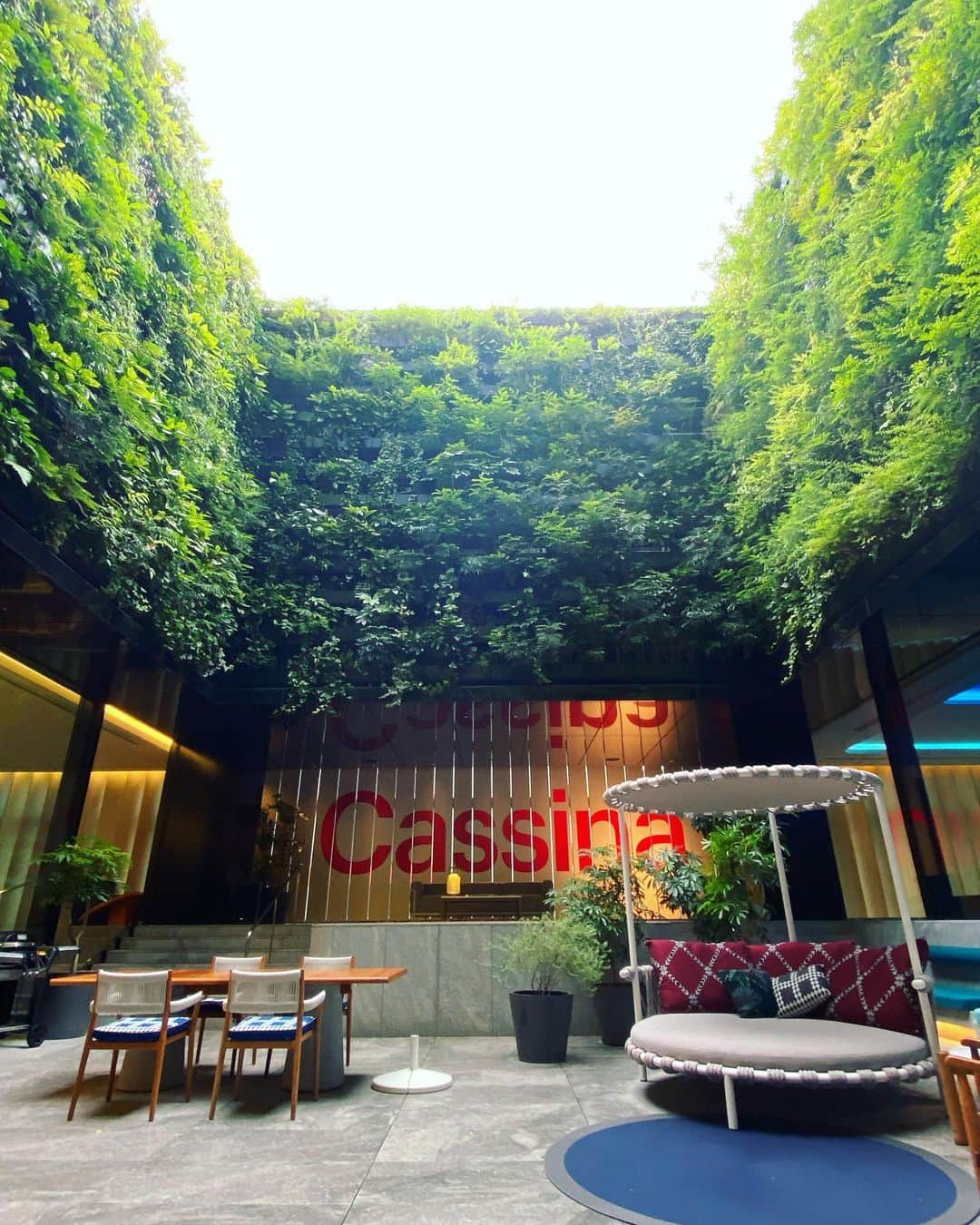 武田訓佳のインスタグラム：「🌿🥂🛋️ ・ ・ Cassina Terrace in W Osaka BBQ Beer Garden 🍃 にご招待いただきました🤍 ・ ・ ビアガーデンわーい♡と思って行ったら どっひゃーでした(語彙力) ・ 心の中で数万回「バブリー❣️」と叫んだ夜🥹 何回かは声に出てたはず🙊 ・ ・ 非日常。 目がずっと幸福で、おいしくて、満たされた🤤 ラグジュアリーな夜でした🥂💕 ・ 次は泊まりに行きたい…🩵 ・ ・ ・ #wosaka #whotels  #cassina #cassinaixc」