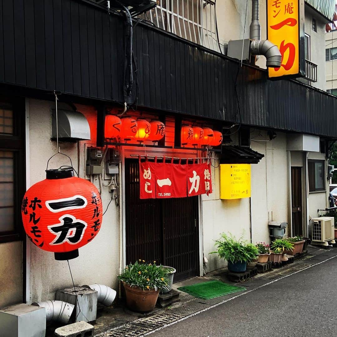 志摩有子さんのインスタグラム写真 - (志摩有子Instagram)「初日の晩ごはんは別府っ子ご用達の焼肉一力さんへ。郷愁をそそる雰囲気最高、お肉もタレも唯一無二の美味しさに、別府に帰ってきたことを実感。〆はキムチで包んだおにぎり。  #別府グルメ #別府っ子ご用達 #焼肉一力 #大分備忘録」7月3日 23時24分 - ariko418