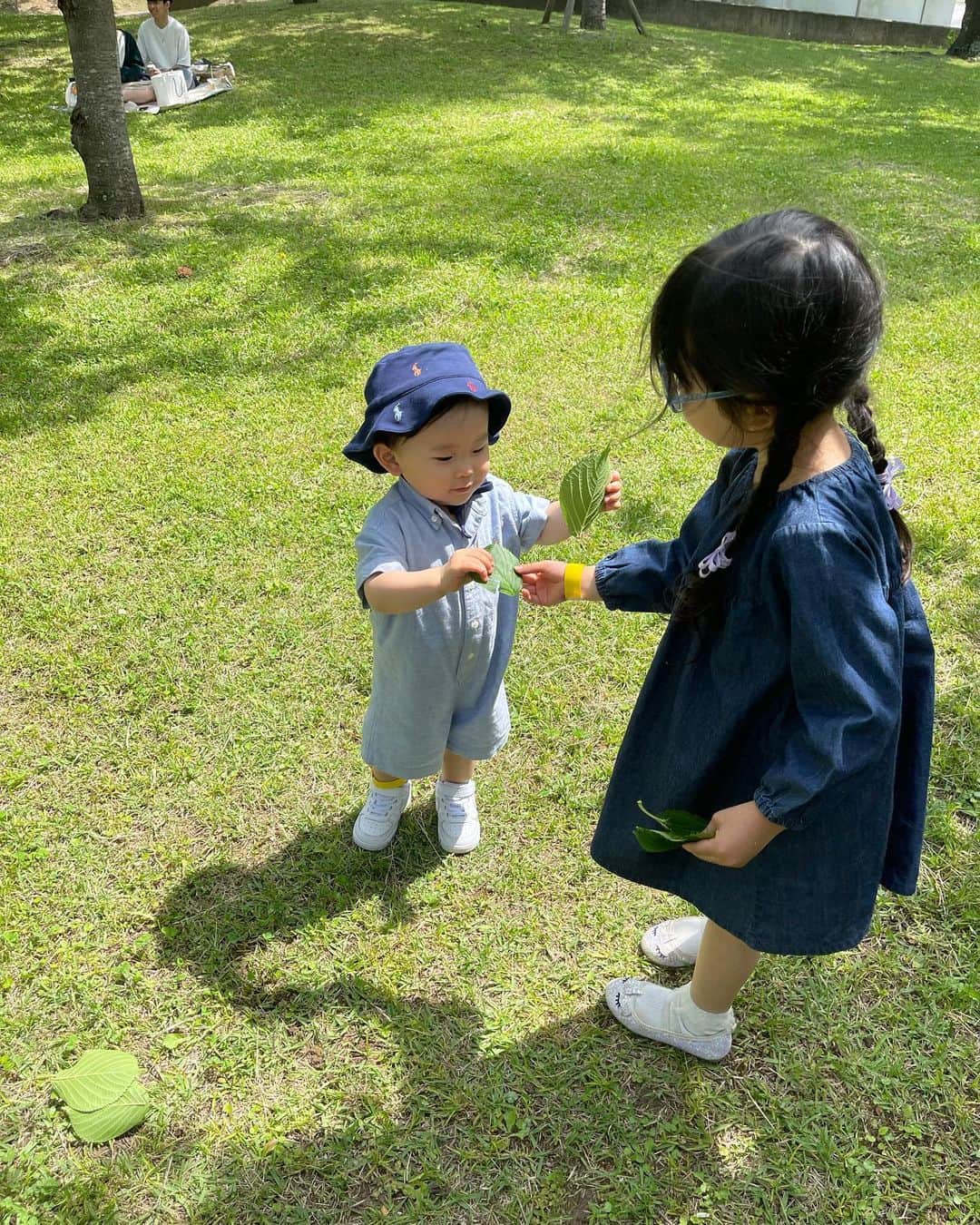 田中響子さんのインスタグラム写真 - (田中響子Instagram)「先日のピクニックママ会で 可愛いお姉さんに葉っぱをいただく息子🍃  小さな子のやり取りって 本当に可愛くって癒しでしかない…🤍  今日も1日よく頑張りました。 子どもたちの写真見て癒されて一旦寝ます🥱」7月4日 0時00分 - coco.golf
