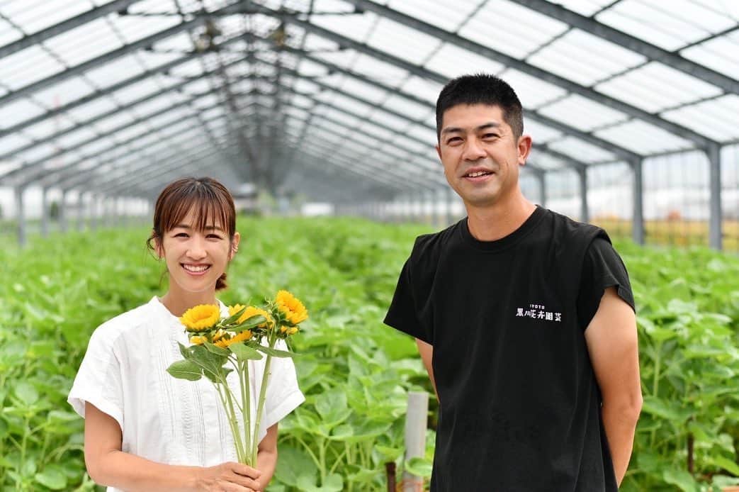 前田有紀のインスタグラム：「本格的な夏が到来して、市場で出回るひまわりの種類がぐっと増えてきました。  先日のインスタライブでも京都のひまわりをご紹介しましたが、私は去年京都のひまわりに出会って、より1輪1輪を大切に扱うようになりました。  黒川花卉園芸　@kurokawakakiengei さんは、のどかな野菜畑に囲まれた自然溢れる土地で、大きなひまわりの圃場を経営されています。年間35万本のひまわりを関西エリア一体に届けていらっしゃいます。花屋のディスプレイを想定して、長さや花の大きさ、色の需要を考慮して出荷されているそう。 一緒に訪れた次男は、圃場を飛び交う小さなカエルに釘付けになっていたのが懐かしいです。  また、宇治市の今村　@imamuramasaki さんは歴史ある13代目の花農家さん。安政3年から花の生産をされている老舗です。夏の期間は長いので、時期をずらして種まきをして、出荷の切れ目がないように調整されているそうです。 また、ダンボールでの出荷からエルフバケツに切り替えることで、持続可能で環境に配慮した出荷に取り組んでいらっしゃいます。出荷を目前に控えたひまわりの蕾たち、最高に可愛かったです。  関西地区にお住まいの皆さんは、京都のひまわりに出会う機会も多いことと思います。 ぜひこの夏はひまわりを飾ってくださいね🌻  京都のひまわりや京都産のお花の最新情報は、 @kyotofukakinet をチェックしてみてくださいね！」