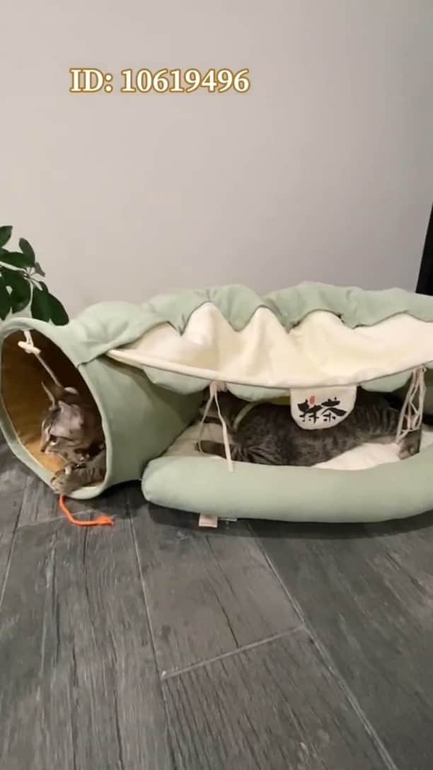 SHEINのインスタグラム：「SHEIN Haul: Kitty Edition! 😻🐾 Which @petsinofficial picks would you get your paws on to pamper your pets? 👇 @alygottdiner  🔎10619496 12889297 14756500 15352148 13439660 13439662  #SHEIN #SHEINforAll #SHEINstyle #fashion #chic #saveinstyle」