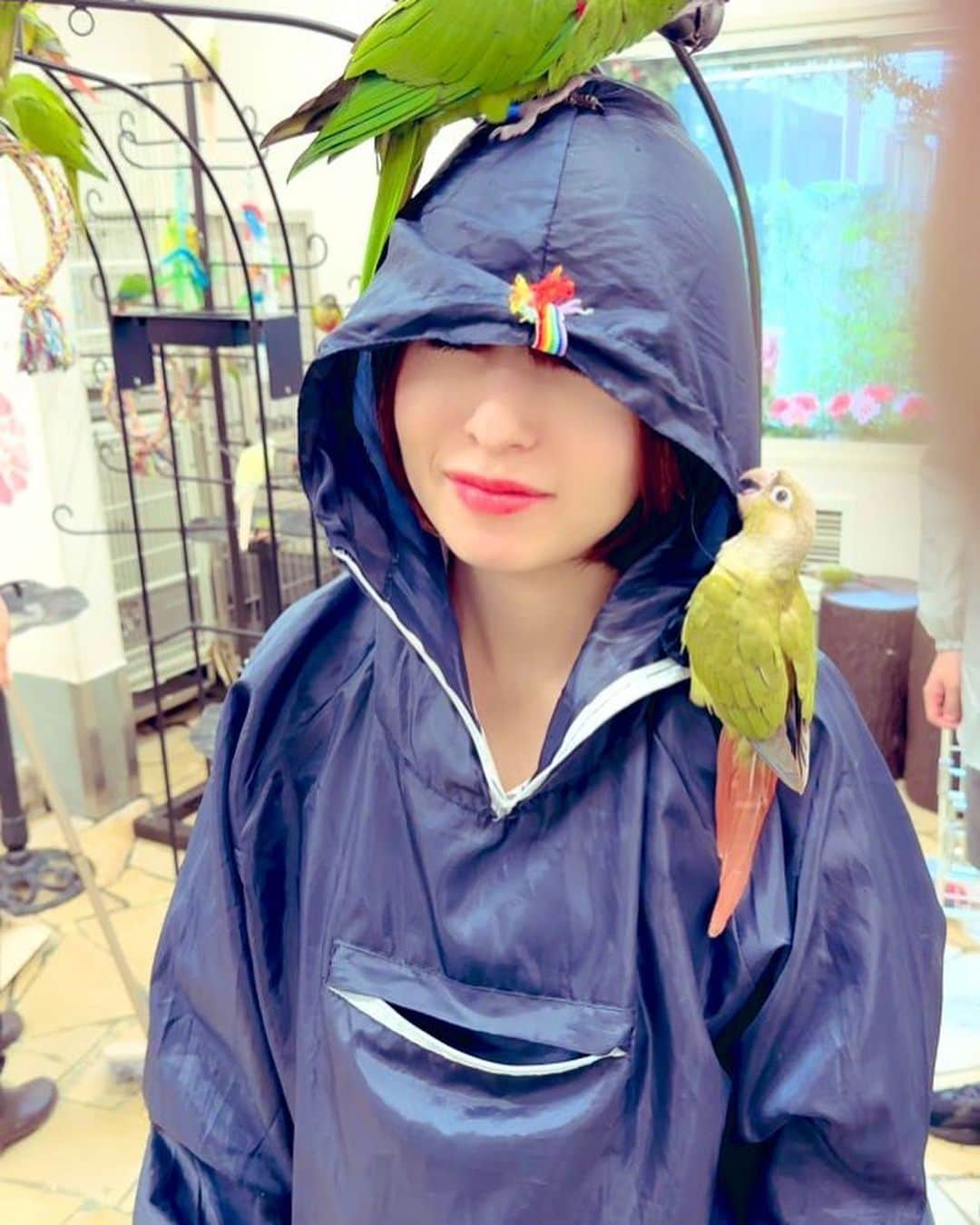 松井理子のインスタグラム：「🪿ショート動画UP🦜  楽しさ伝わる✨❣️  キャワワッ🍀って思ったらイイネしてね💕💕 コメントも待ってます😊  この #虚無写真 好き😂  #鳥のいるカフェ千駄木店  #鳥まみれ #かわいくてごめん  #大人も子供も楽しめる  #熟女  #愛葉るび  #日暮里  #谷中銀座  #猫の街  #インコ大好き   https://youtube.com/shorts/rGfiqnH4QtQ?feature=share」