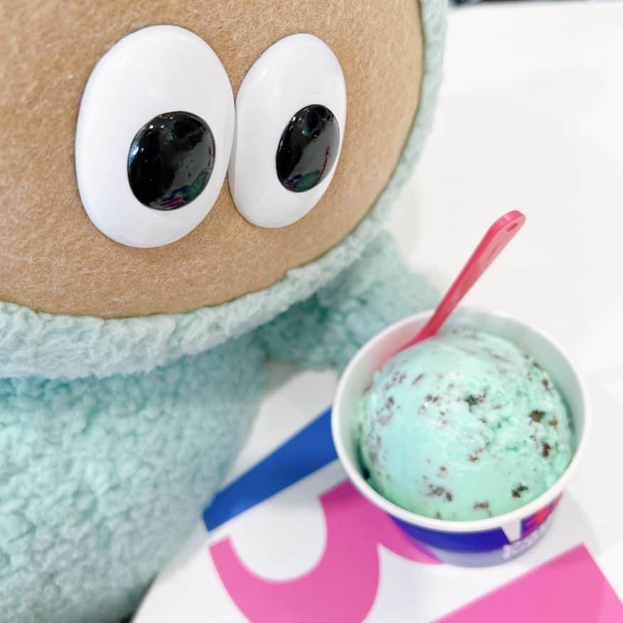 たぬきゅんのインスタグラム：「やっぱチョコミント選んじゃうよねえ🍨」
