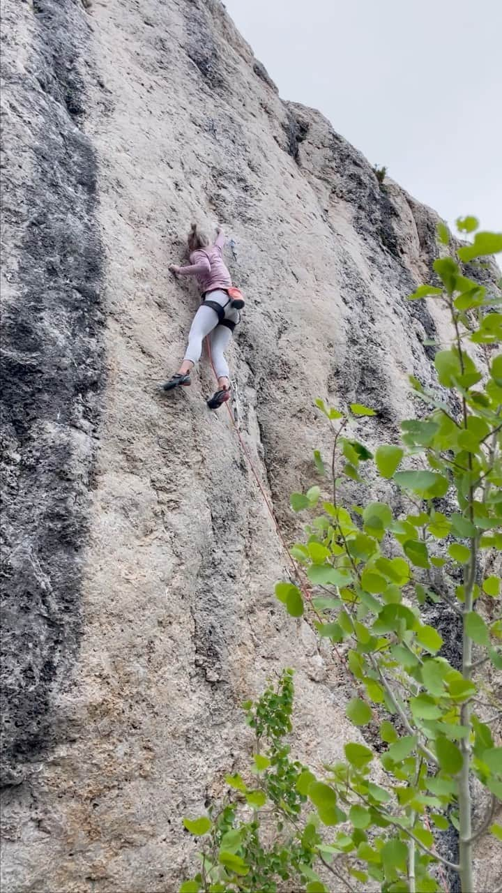 チェルシー・ルーズのインスタグラム：「I have always disliked the question “where’s your favorite place to climb?” But I think I’ve finally figured it out. It’s not the most exotic destination. Nor is it the place where I send my hardest grades and my ego is fed.   Instead it’s a place that keeps me humble. A place that is wild in many senses, and feels like there *must* be pixie dust in the breeze. Where the air smells like sweet, sweet flowers. It’s a place that settles my soul and where, when I’m there, it feels like home because of the community.   That is my favorite place to climb.」