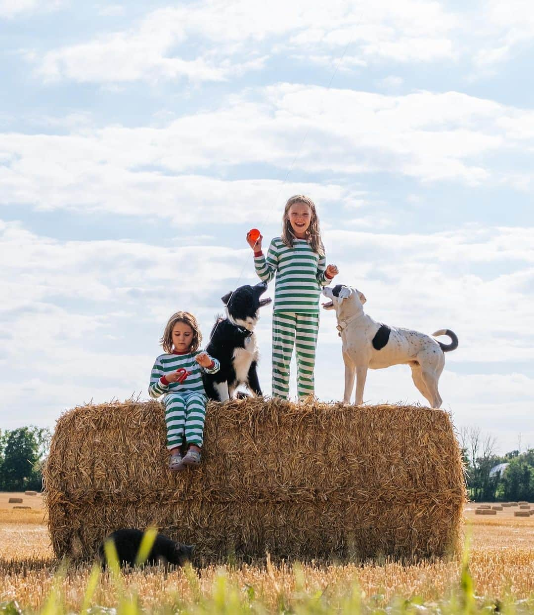 Andrew Knappさんのインスタグラム写真 - (Andrew KnappInstagram)「Meet the Restachios. The family I spent a few months with last summer, and where I was lucky enough to create Let’s Find Yaya & Boo At Home! (Available August 29). I’m lucky to call them my friends.   My gratitude for their help, hospitality, playfulness, and love is on level with the amount of fun I had creating this book with them. Spending that time on their farm is an experience I won’t forget. And having the support of young imaginative minds to create a book made for young minds was truly an invaluable resource. Adam and Jen’s farm was also where I took refuge after Momo left us, so it truly couldn’t have been a more perfect setting.  I had so much fun making this book, and I really hope you have as much fun reading it. I think it shows.  (PS. If you’re passing east of Ottawa, you can stay on their beautiful property near Embrun, they have their tiny home on Airbnb!)」7月4日 7時13分 - andrewknapp