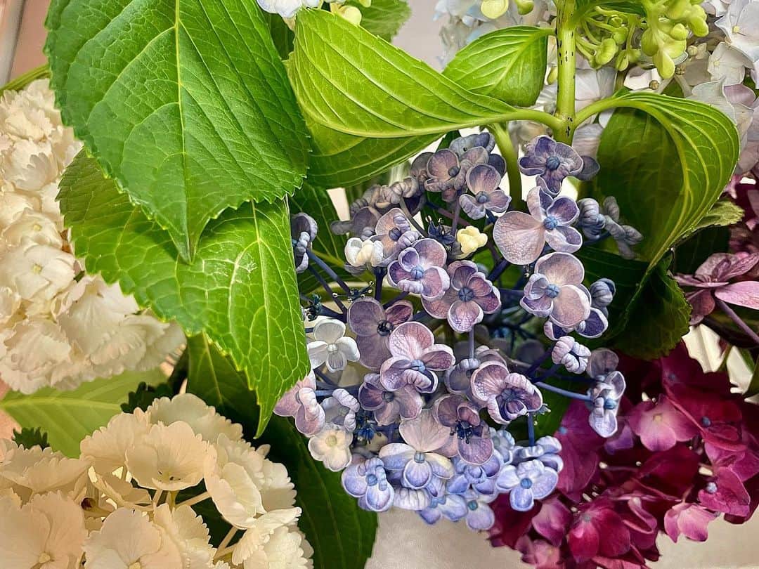 ecruのインスタグラム：「2023/07/03 (mon) おはようございます。 とても久しぶりの更新になりました。  以下、長くなります。  ・  つらすぎてなかなか言葉にできず、更新ができないままになっていましたが、少し前、最愛の母とお別れをしました。  周りの人に「寂しくなるね」と言われますが、あまりにも突然の別れだったからか、まだ信じられない気持ちもあり、寂しいというより、ただただつらく悲しい日々を過ごしています。  10年以上前から日課になっている朝晩の電話の時間になると母に電話をしそうになったり、綺麗な夕焼けの日には、母に電話をして一緒に見たことを思い出しては号泣したり…と、日常のあらゆる場面で母を思い出すことが多く、涙を流す毎日です。  病気や介護に関しては、その都度情報収集をし、その時私にできることを全力でしてきたつもりでしたが、日が経つに連れて、別の選択肢があったのではと思ったり、気付けなかったことを悔やむことが増え、つらかったシーンを思い出しては胸が苦しくなり、溢れる涙を止めることができません。  そんな状態でも、色々な手続きや実家の片付けに追われて過ごしてきて、先日、実家の片付けをなんとか終え(自宅は運んできた荷物で溢れかえっていますが)、無事四十九日法要を終えました。  実家と自宅を1日に何往復したりとハードな日にも疲れた顔を見せず寄り添ってくれている夫や、もしかしたら1番つらかったのではと思うくらい仲良くてお互い大好きで告別式には誰よりも泣いていた息子にも、いっぱい助けてもらい、なんとか日常生活を過ごすことができています。  今回のことを書くかどうか迷いましたが、Instagramも13年目になり、長くお付き合いしていただいている方も多く、お互い介護の話をしたり、励ましや労いのお言葉をくださる方、そして、直接母に会った方もいらっしゃるので、ご報告と感謝の気持ちをお伝えしたく、書くことにしました。  いつも仕事に全力で取り組み、いくつになっても勉強をし続け、とくにここ数年は「ありがたい」が口癖で、毎日周りの方に感謝をして過ごしていた母からは学ぶことも多く、私はいつまでたっても母に追いつくことができません。 これから少しでも母に近づけるようにと思うことが私の生きる力や目標となり、母への供養にもなるかと思っています。  コロナ禍ということもあり、サポートが始まってからの数年間は仕事や医療・介護関係の人以外ほとんど誰にも会うことがなかったのですが、これからは少しずつ会いたい人に会えるといいなと思っています。  着付教室も、今月から再開します。  そして、今までは自分のことは後回しで家族のことに全力を尽くしてきましたが、これからは自分の身体のことも大切に過ごしていきたいと思っています。  長くなりましたが、最後まで読んでいただいきありがとうございます。  POSTできないままのお弁当picが溜まっていたり、気分転換に見たドラマ(🇰🇷🇯🇵)の話などもしたいので、よろしければまたお付き合いよろしくお願いします。」