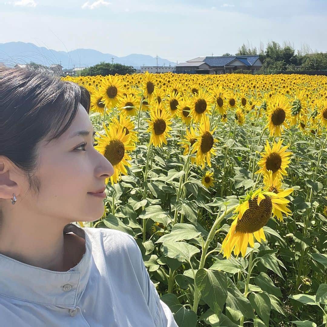 有馬綾香のインスタグラム：「ひまわり畑🌻  夏ですねぇーーーー🫠  2枚目は 眩しくて目が開かなかったやつ😇」