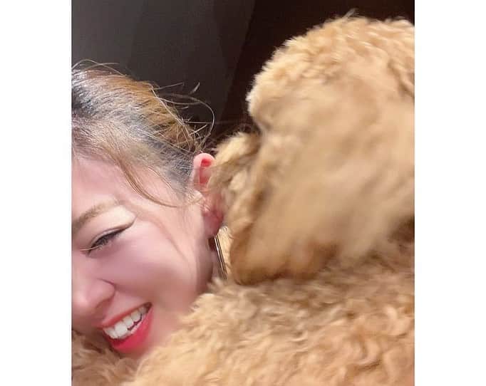 柴田幸子さんのインスタグラム写真 - (柴田幸子Instagram)「🐶🤎💋💋💋🙈  かわいすぎるルーちゃん♡ （立っちががお得意。笑）  4枚目辺りから🤣🤣🤣  ガッツリ抱きつかれてホールド🐶 顔中（特に耳）舐めたおされた柴田の この顔ね、、、🤣🙈🤎  オキシトシン？たくさん出たわきっと。笑  #アナウンサー #フリーアナウンサー #radio #ラジオ #ルーチェ #犬のいる暮らし #犬スタグラム  ・ ・」7月4日 10時05分 - shibata_sachiko
