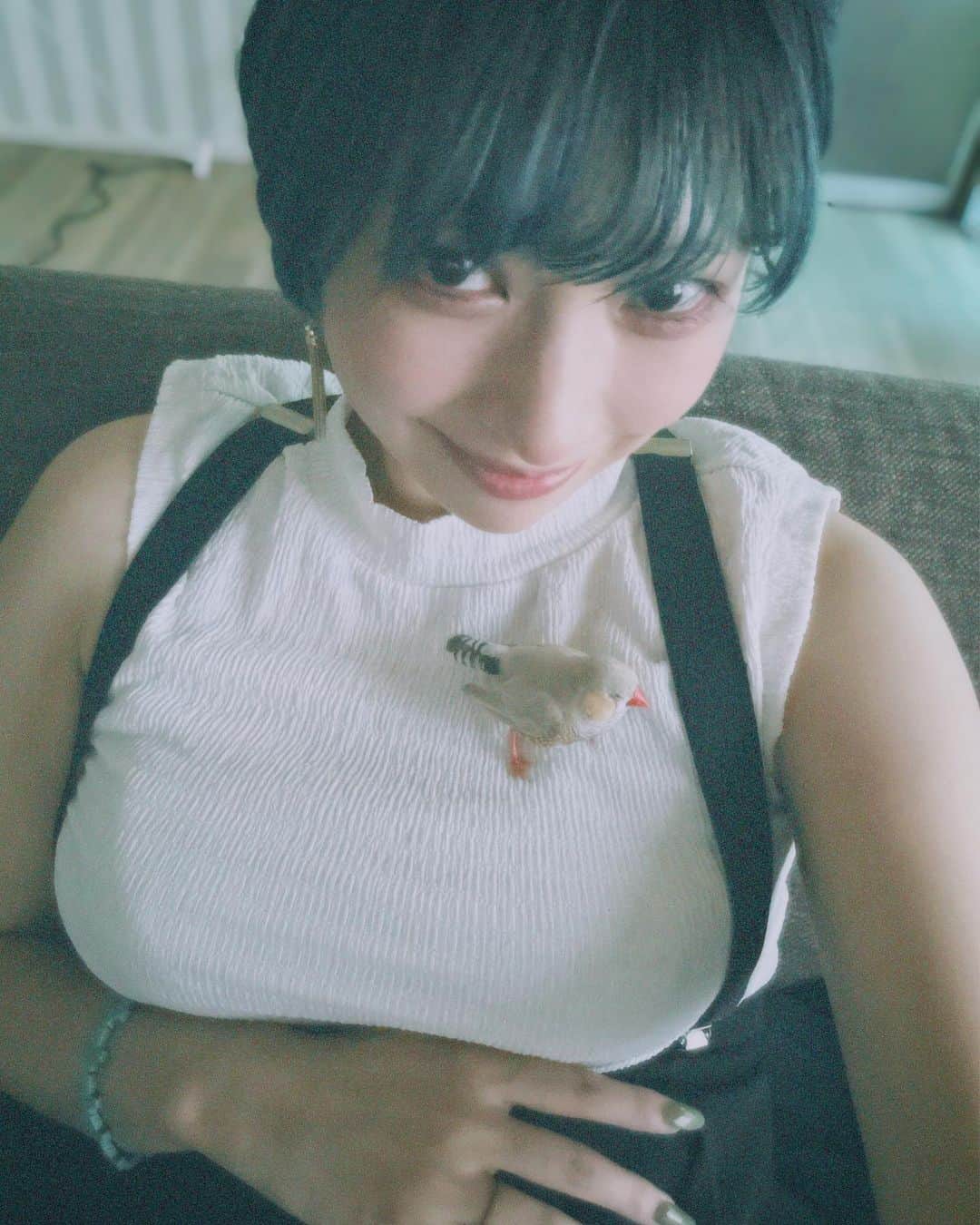 日南響子（珠麟）のインスタグラム：「..ずっと一緒にいるね𖤥𖤘⋆*  #錦華鳥  #キンカチョウ  #日南響子」