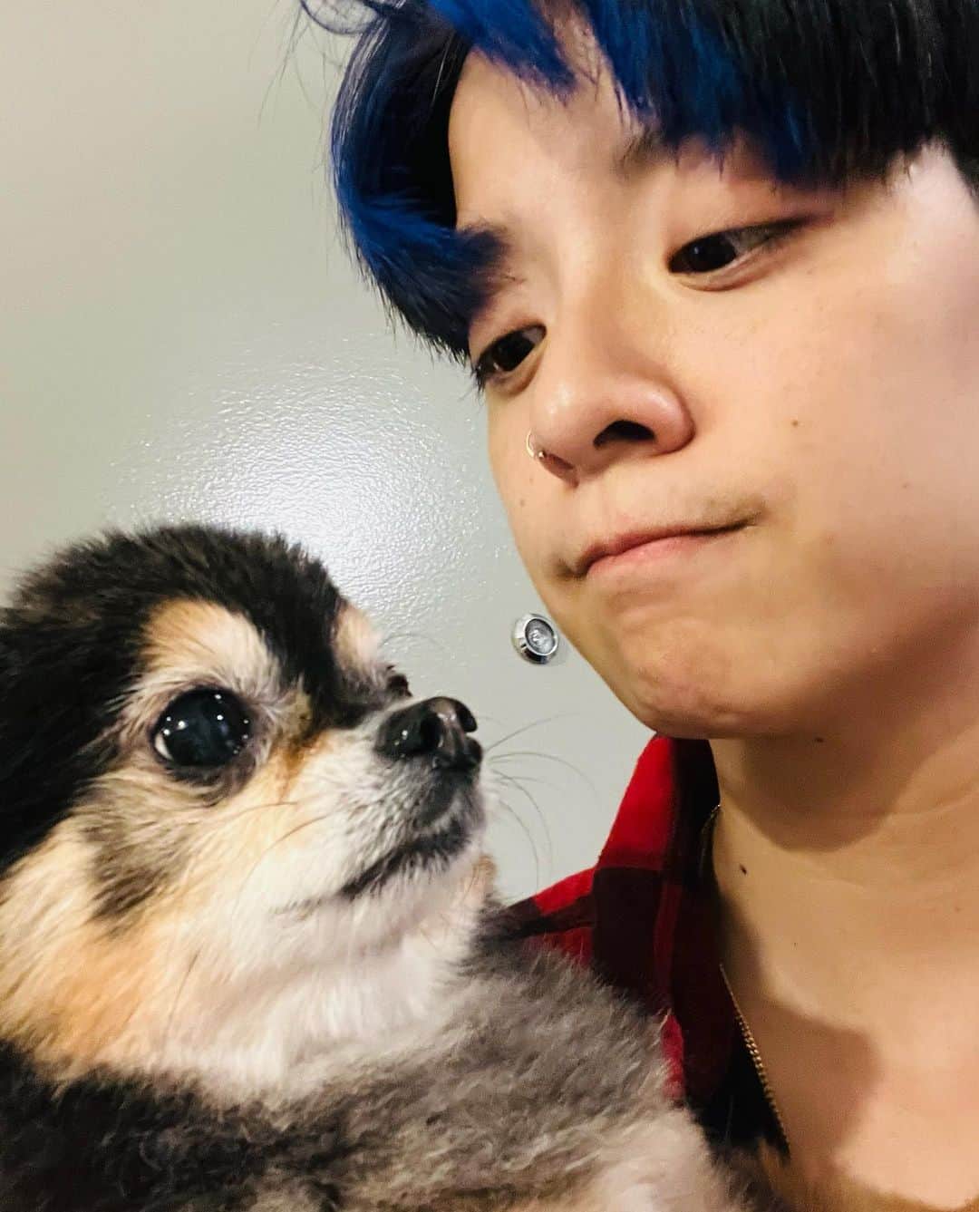 アンバー のインスタグラム：「Thank you being my everything🐶🦙」
