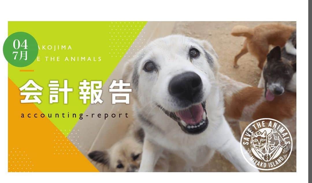 のインスタグラム：「◇7月〜9月空輸停止◇  里親さんの元へや、 保護主さんの元への空輸を 夏の間 犬猫の負担を考えて、毎年のごとく 停止いたします🙇‍♀️  現状、3ヶ月停滞いたします。  毎月100万円ほどの、運営資金が必要となります。 私たちも最大の努力をしておりますが、皆様のお力が必要です。  ご支援をお願いします。 . . . 資金調達とシェルター縮小のため、コンテナを30万円で売却しました。  労働保険の年度更新があり105,200円納付したため、人件費が通常より高くなっております。 経費削減のため、6月よりフルタイム1名に労働時間の短縮を行いました。7月は給与所得税の預り金の支払いが64,002円あります。 . . . インスタプロフィールに貼り付けています、HPに 様々な寄付方法を載せています。  どうぞ温かいご支援をお願いいたします。」