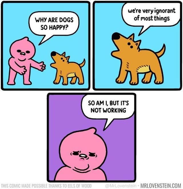 9GAGさんのインスタグラム写真 - (9GAGInstagram)「they're cute and get more affection🥲 ✍🏻 @mrlovenstein  - #loved #dogs #ignorant #comic #9gag」7月4日 13時00分 - 9gag