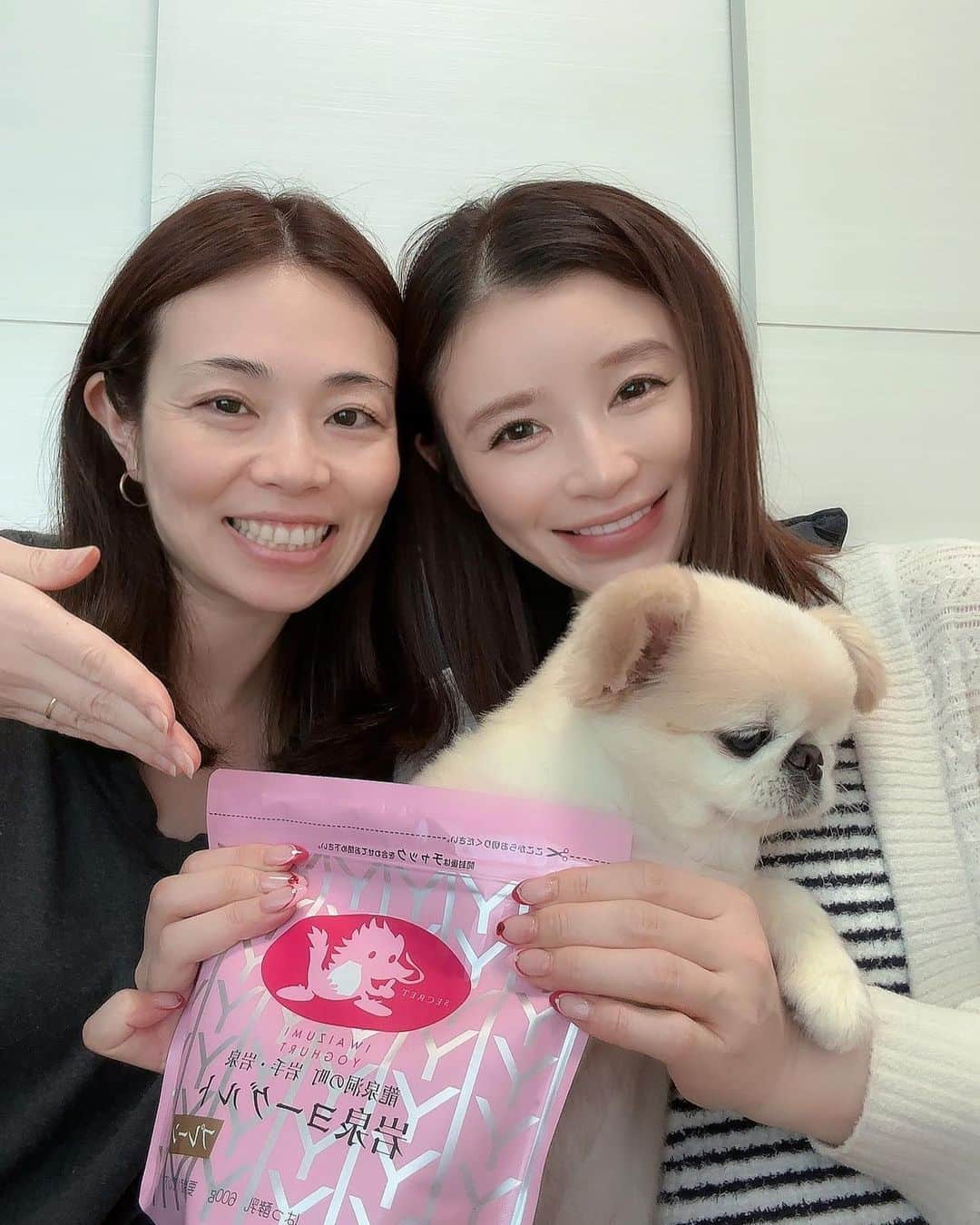 手島優のインスタグラム：「・  ヨーコちゃんから頂いた  岩泉ヨーグルト  @iwaizumi_holdings_official   めっちゃくちゃ美味しい😋❤️  私の大好きなもっちり、むっちり食感で〜滑らかで〜美味し過ぎて止まらなかった🤤♪   あっという間に完食。笑  これは限定の？ピンクのパッケージだったみたい🩷きゃわ✨  ほんっっっとに虜なので 絶対リピートする🤩💕  #岩泉ヨーグルト　#ヨーグルト #美味しい　#もっちり　#むっちり #滑らか　#幸せ」