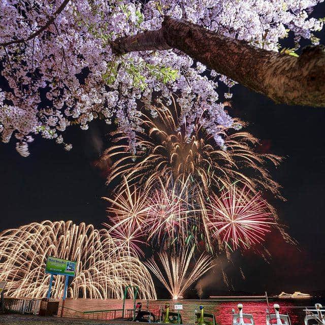 北海道じゃらん【公式】さんのインスタグラム写真 - (北海道じゃらん【公式】Instagram)「『#北海道じゃらん春絶景フォトコンテスト2023』結果発表！  たくさんの素敵な春絶景写真をご応募いただき、 ありがとうございました！  1枚目【グランプリ】 @yuuyadayoo　さん  洞爺湖で撮影してくれた一枚。 夜桜と花火が圧巻の迫力🎆 色とりどりの白鳥ボートたちも見え、グランプリにふさわしい華やかな写真でした✨    2枚目【早起きは三文の徳で賞】 @usapanchi　さん   深山峠で撮影してくれた一枚。 鮮やかなピンクの桜の向こう側から朝日がのぞく☀ 「早起きしてでもこの景色を見に行きたい！」と思わせてくれる一枚でした。    3枚目【この花絶景に感謝したいで賞】 @su_niko_hokkaido　さん   湧別町で撮影してくれた一枚。 カラフルなチューリップは見ているだけでワクワク🌷 日々手入れをしてくださる方たちのおかげで、素敵な景色が保たれていることが実感できる一枚でした。    4枚目【一面ピンクの絨毯で賞】 @masaji.ueda　さん  大空町のひがしもこと芝桜公園で撮影してくれた一枚。 一面ピンクの芝桜とピンクの鳥居が華やか🌸 この時期、この場所だからこそ撮影できる貴重な一枚でした。    受賞者のみなさまの作品は、 来年度の北海道じゃらん雑誌内の春絶景特集でも掲載させていただく場合があります。 その際はご連絡させていただきますので ご協力どうぞよろしくお願いいたします！  #北海道じゃらん #じゃらん #北海道 #観光 #お出かけ #1日1得 #写真 #絶景 #春絶景 #フォトコンテスト」7月4日 13時30分 - hokkaido_jalan