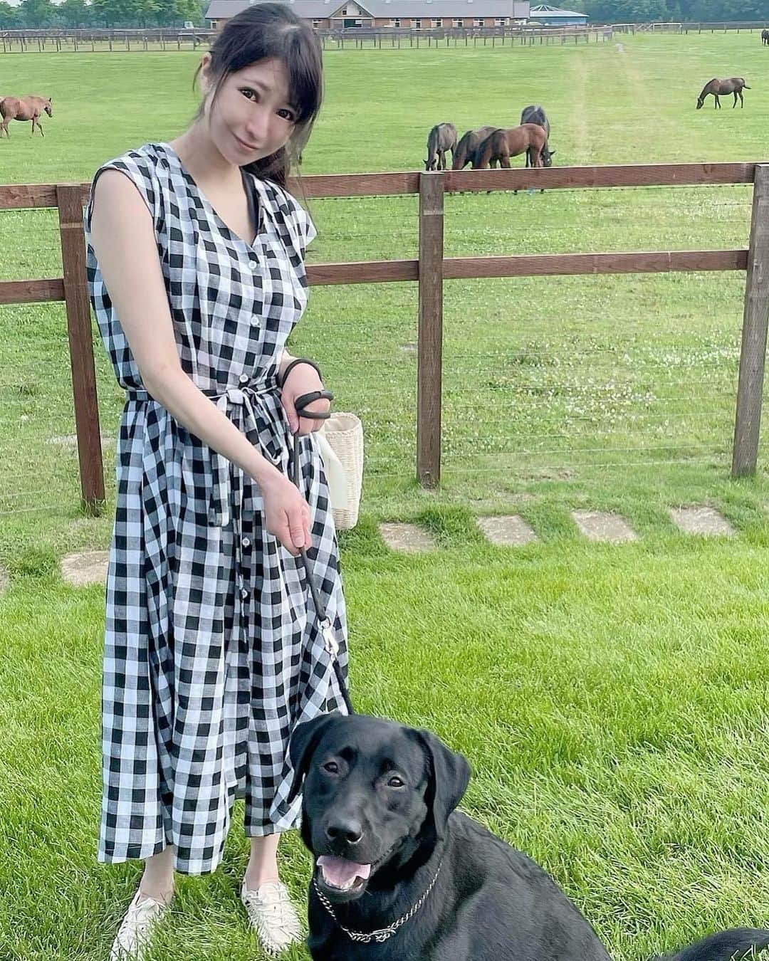 石川蓮美のインスタグラム：「#ノーザンホースパーク  車で1時間のとこにわんちゃんと行けるとこ発見して行ってきたよ 馬大好きな私の趣味だったけど わんちゃんといろんなことができるという素敵な場所で北海道移住ならではのお出かけでした♡ あぐちゃんもたくさんお散歩できてむしろ私がクタクタになりました♡ #名馬の里  #ディープインパクト  #イクイノックスおめでとう #いつか馬主になりたい  #感動をありがとう  #北海道移住暮らし #ラブラドールのいる暮らし」
