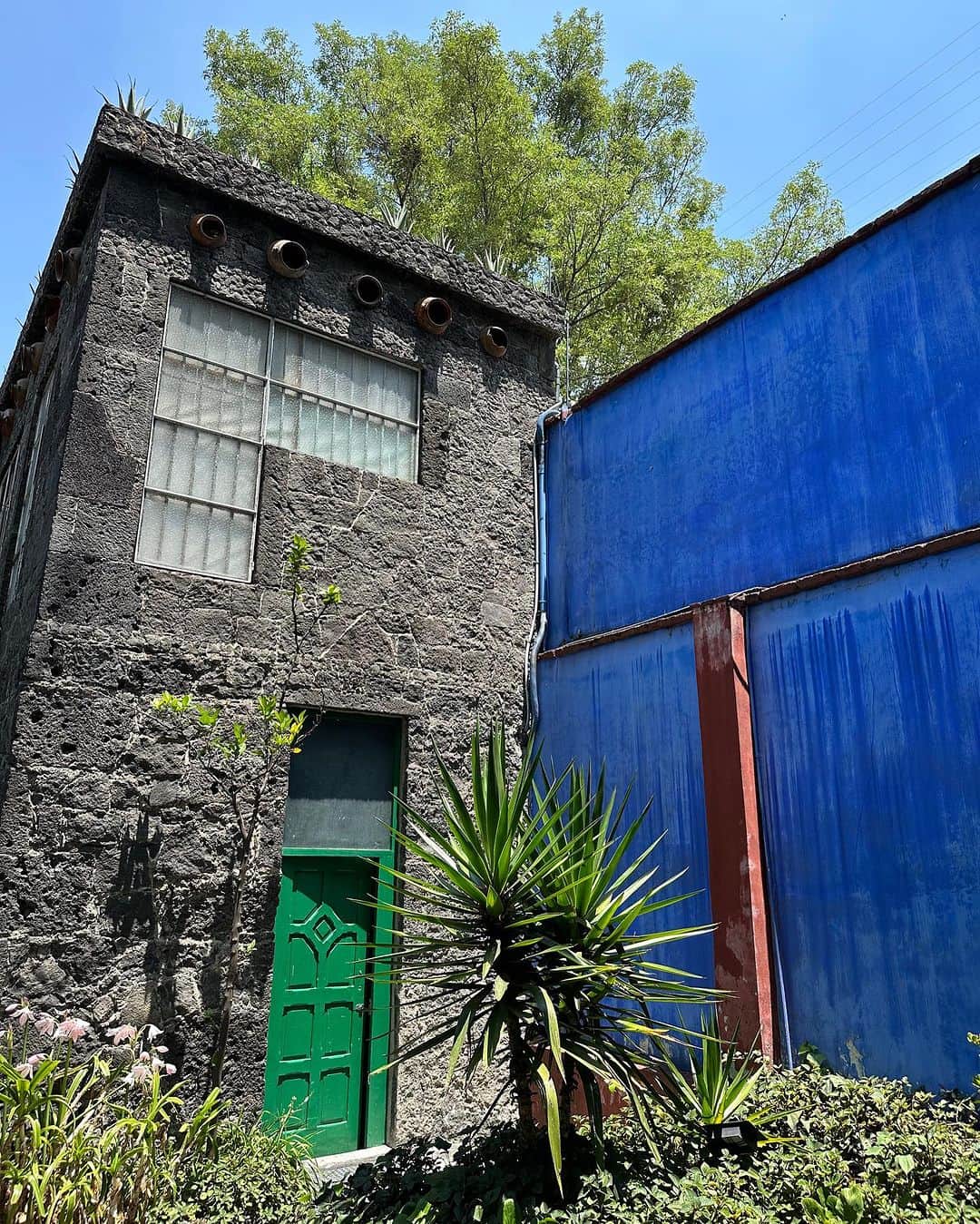 シー ニューヨークさんのインスタグラム写真 - (シー ニューヨークInstagram)「Inspiring Casa Azul, Frida Khalo’s home with Diego Rivera from 1929-1954 🇲🇽」7月4日 23時28分 - seanewyork