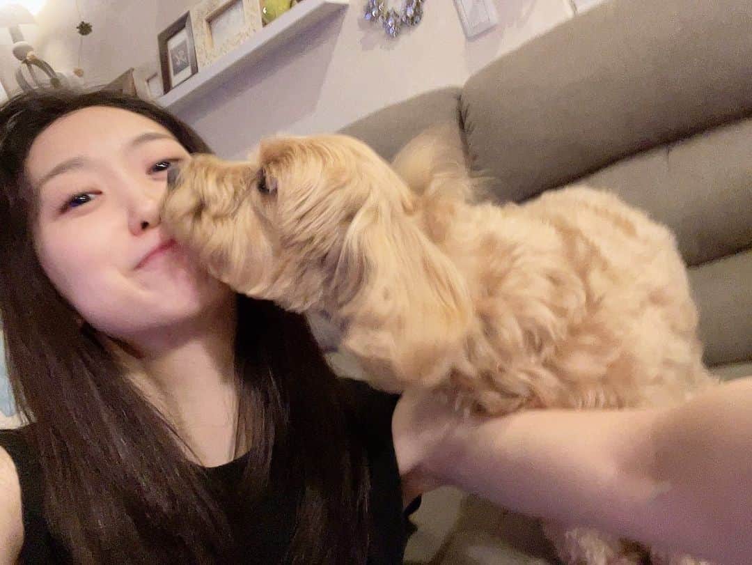 芹澤優のインスタグラム：「🐶  実家のわんちゃんんんん  滅多に帰らないのに、私がお姉ちゃんってちゃんとわかってるの！すきすきぺろぺろ死ぬほどいただきました〜🥺  #いぬもねこも結局かわええねん #どっち派とかどうでもええねん #ペットが今日もやすらかでありますように」