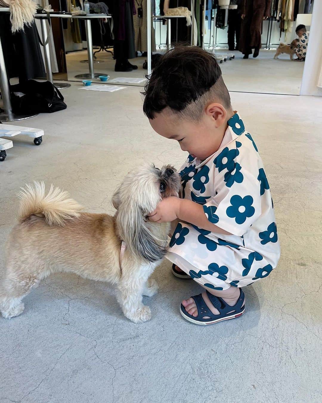 佐々木香奈さんのインスタグラム写真 - (佐々木香奈Instagram)「ソウマと展示会へ 大好きなワンコと触れ合えて みんな優しくて 終始ご機嫌 帰りは、何度も振り返って 手を振ってました　笑  @sahara_japon  @marte_vintage」7月4日 16時23分 - sasakikana