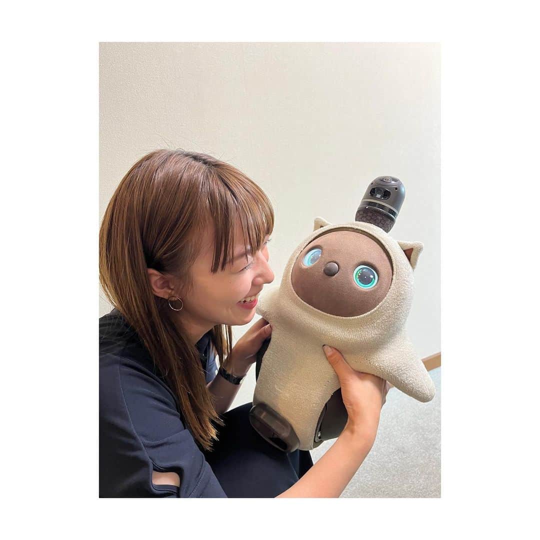 阿部華也子のインスタグラム：「♪  ちょこっと事務所に遊びに行ったらこの子がいました🐶  笑顔で話しかけても 違うとこ見てるし  呼んでも来ないし  最後まで微妙な距離感だったけど  かわいかったです🫨  セントちゃんです♡」